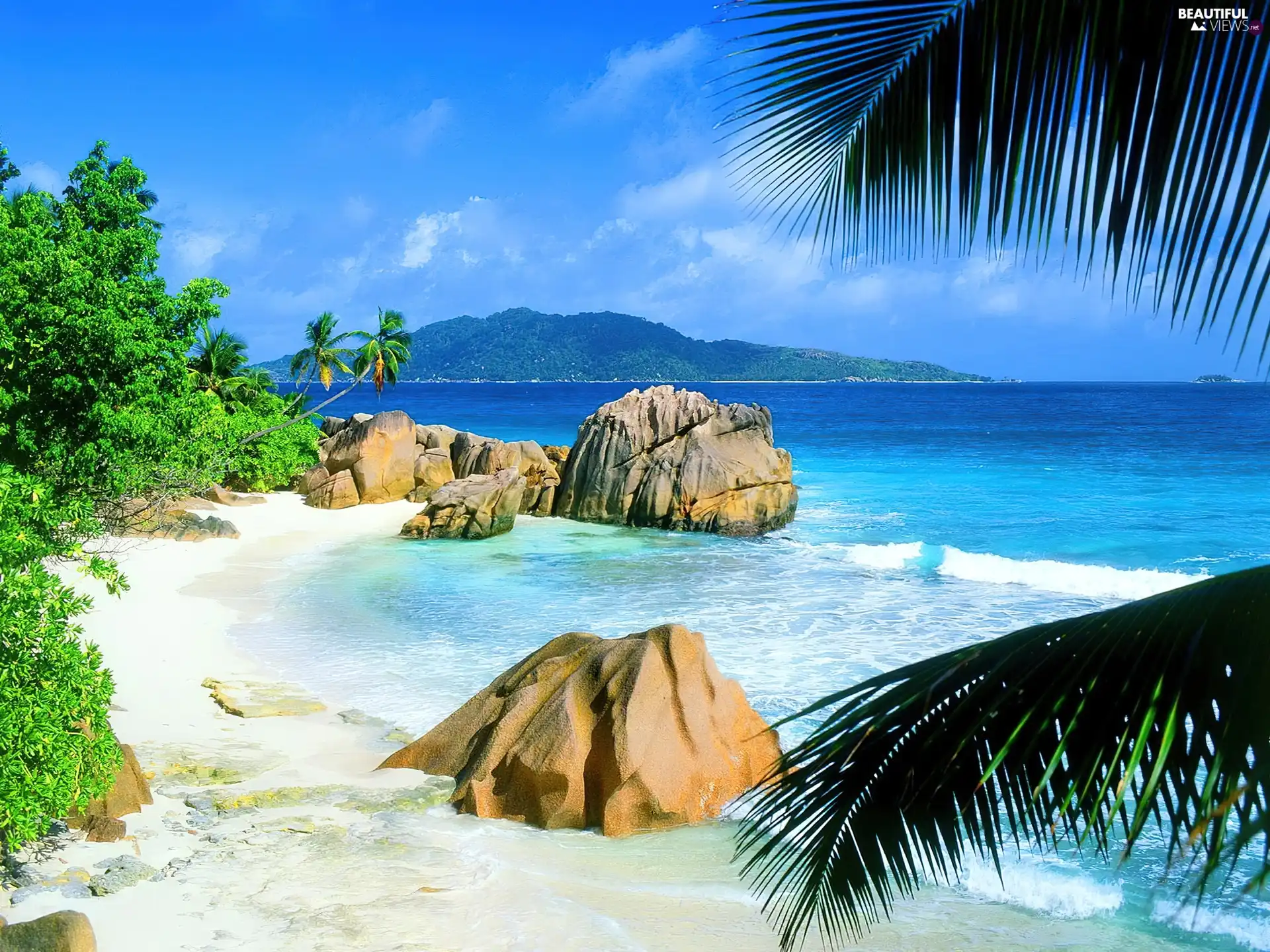 Mountains, rocks, Palms, sea