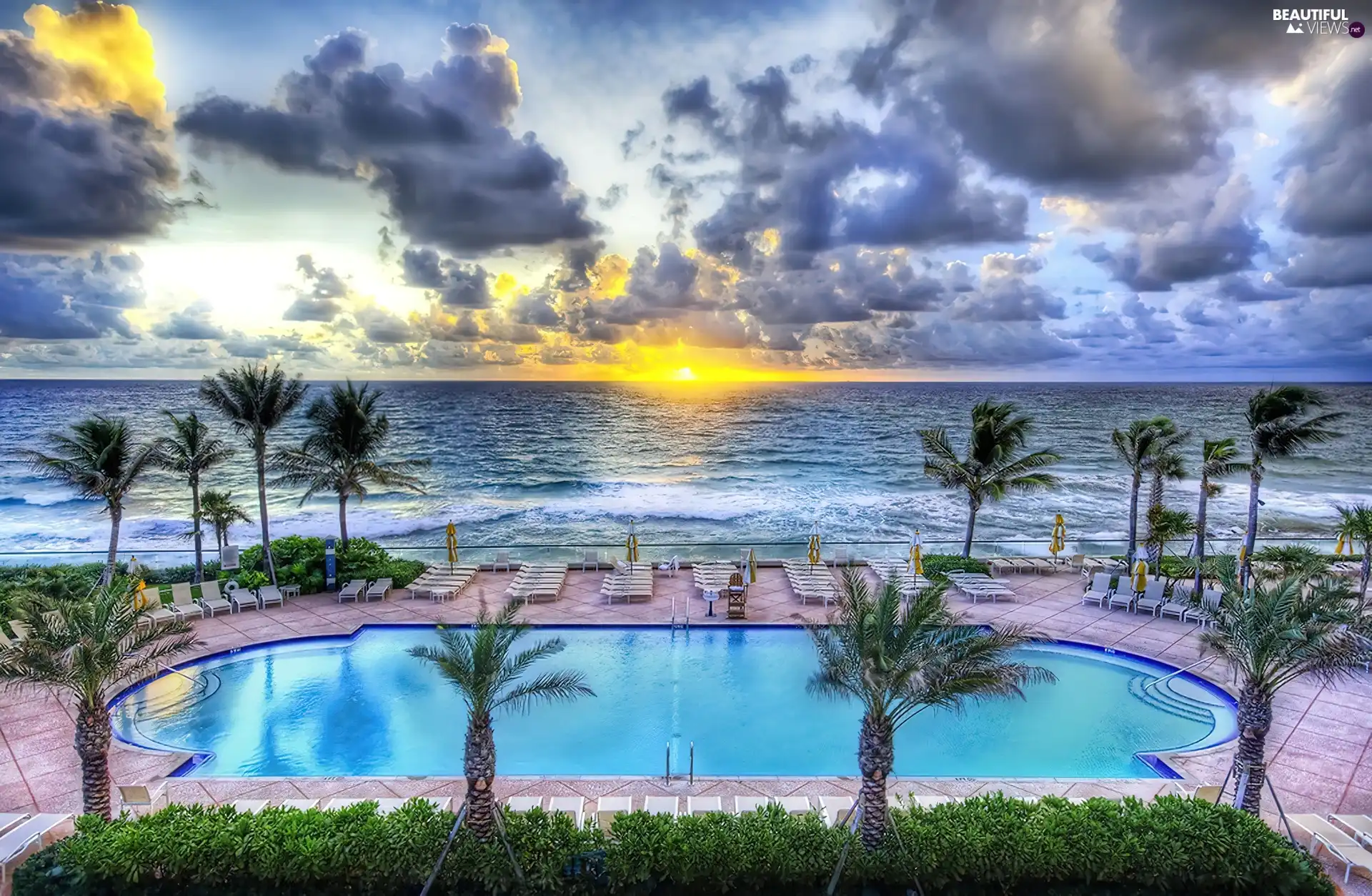 Pool, sun, Palms, west