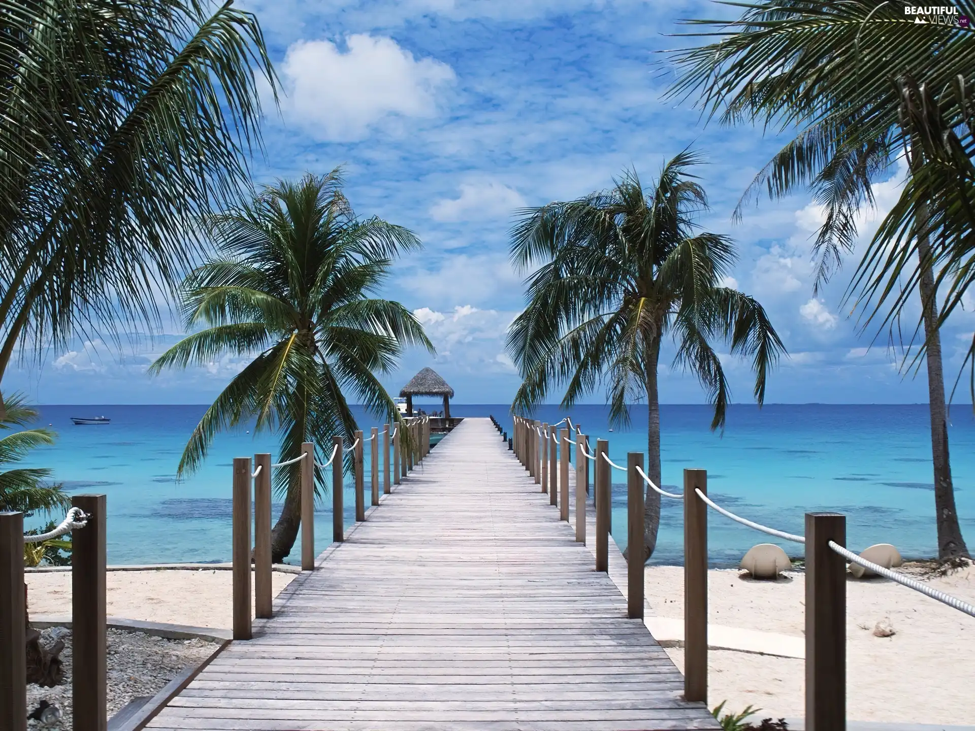 sea, Beaches, Palms, Platform