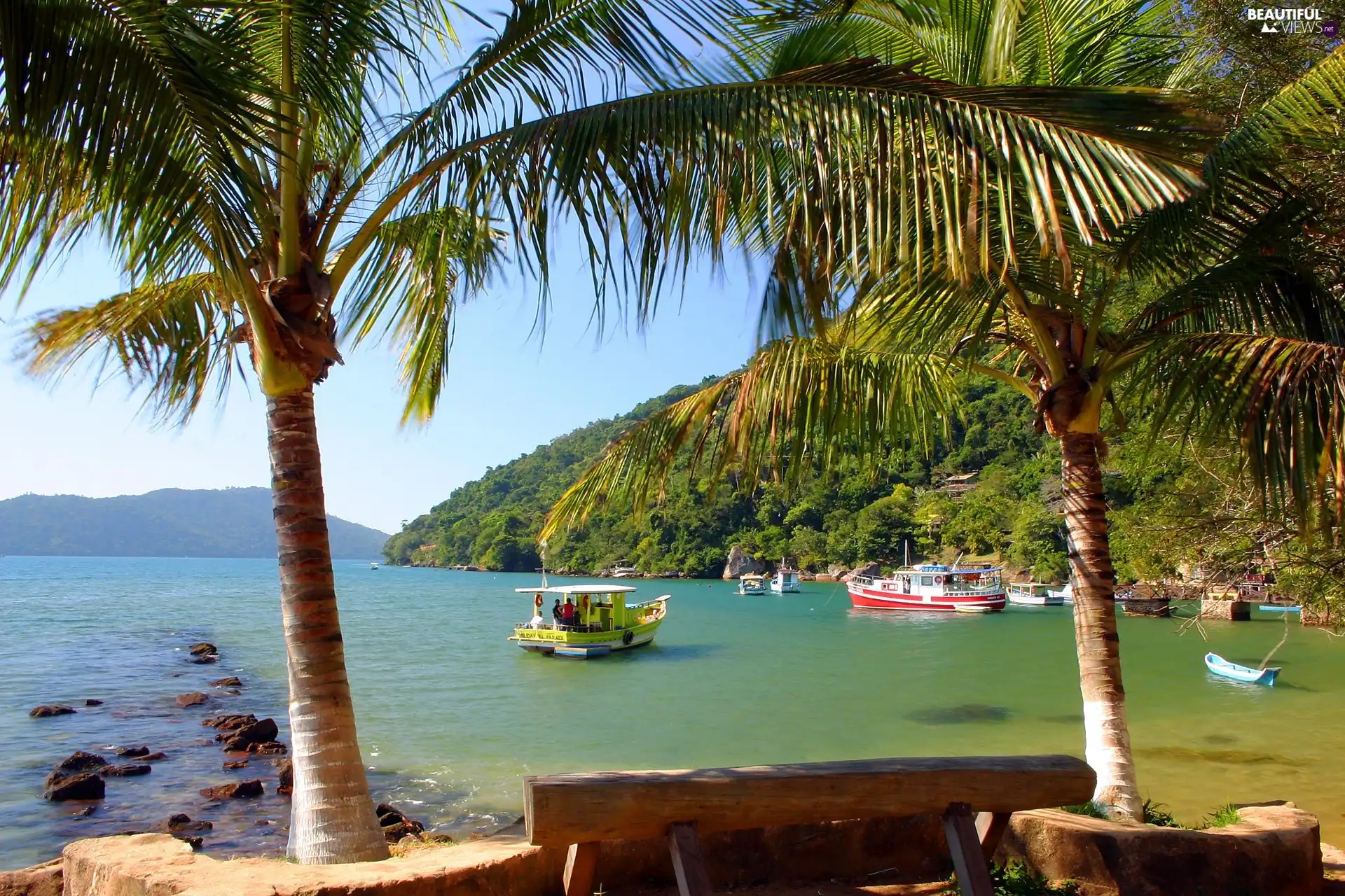 Palms, tropic, bay, Mountains, Ocean