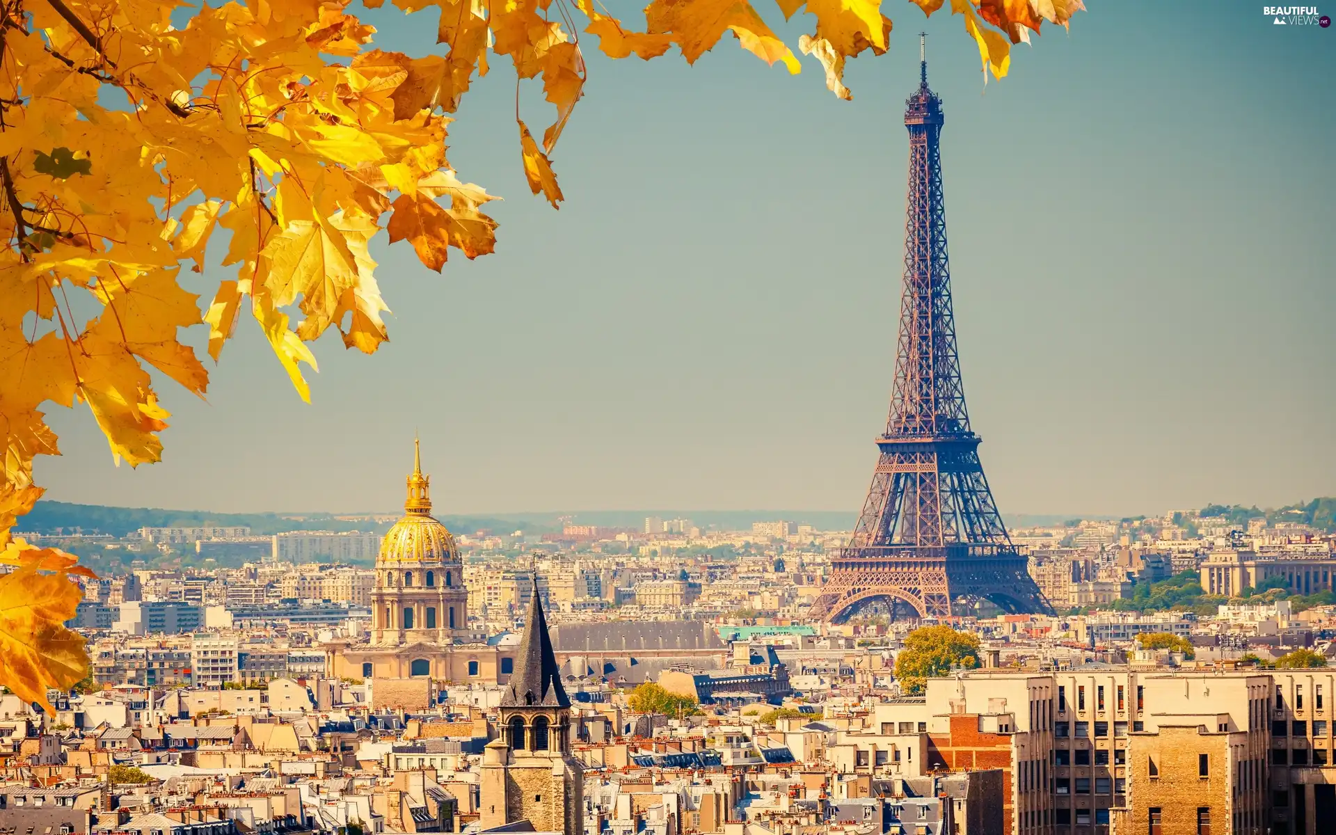 panorama, autumn, Eiffla, Paris, tower