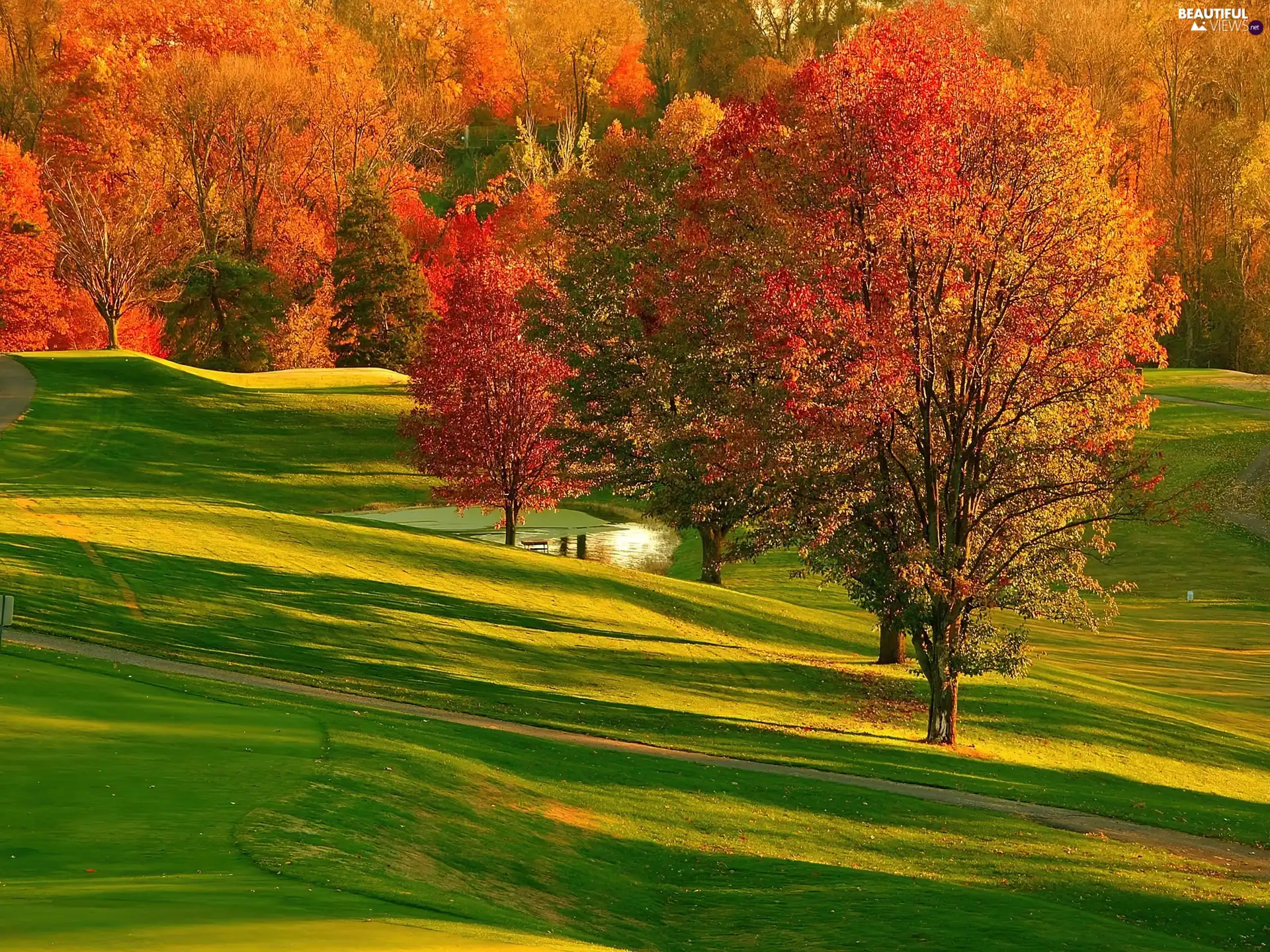 autumn, Park