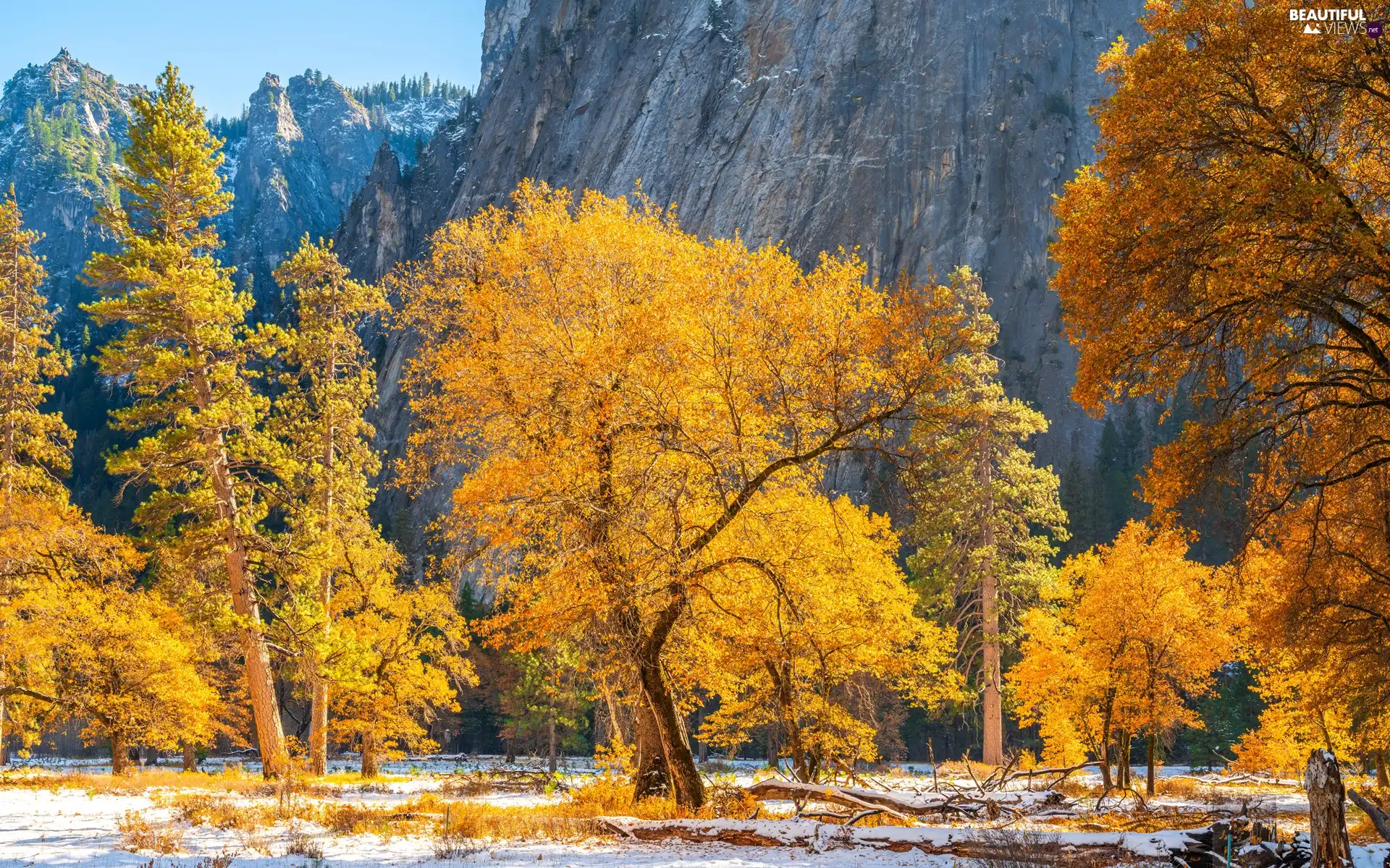 trees, Yosemite National Park, State of California, Mountains, autumn, viewes, The United States