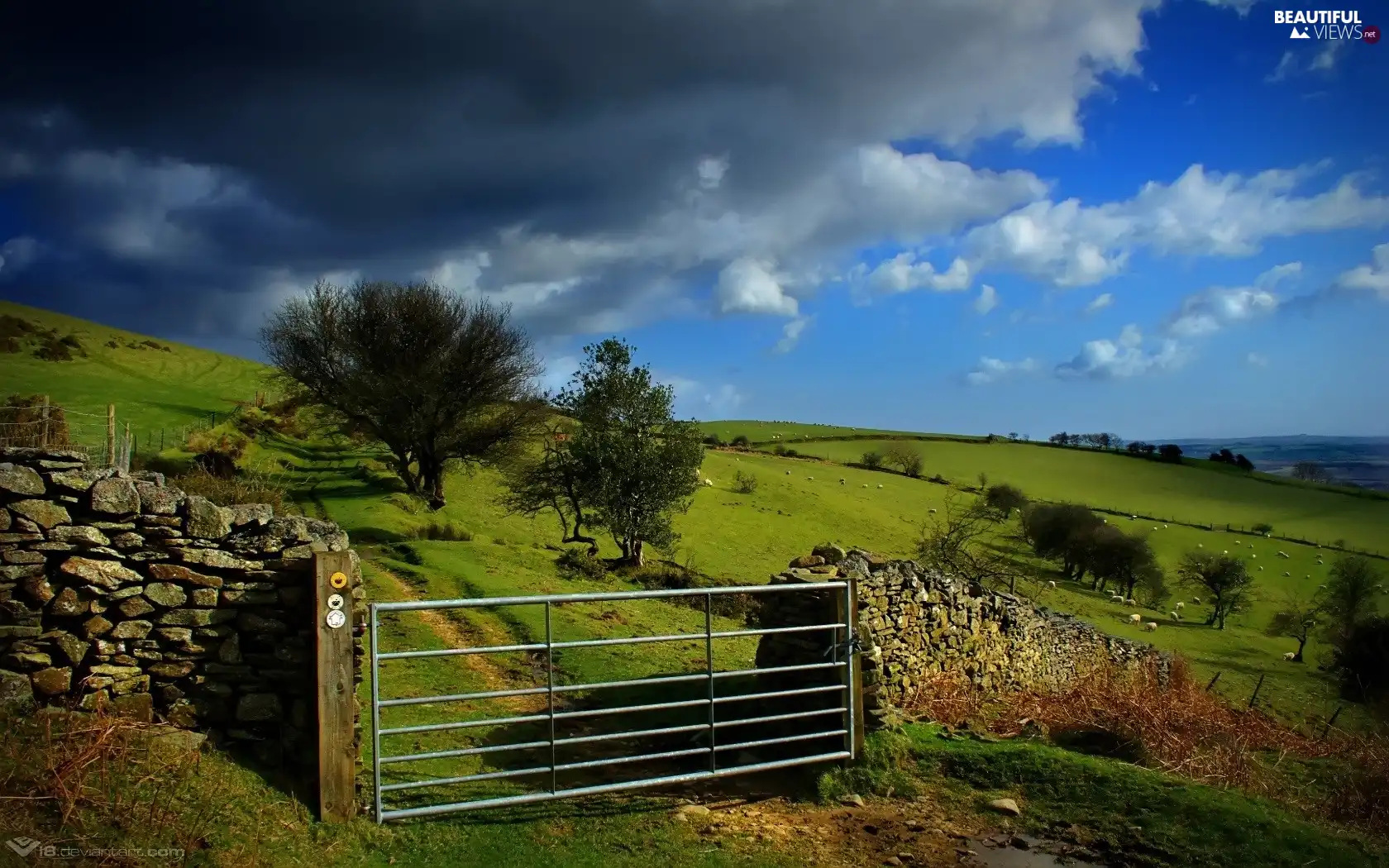 stone, Gate, pasture, wall