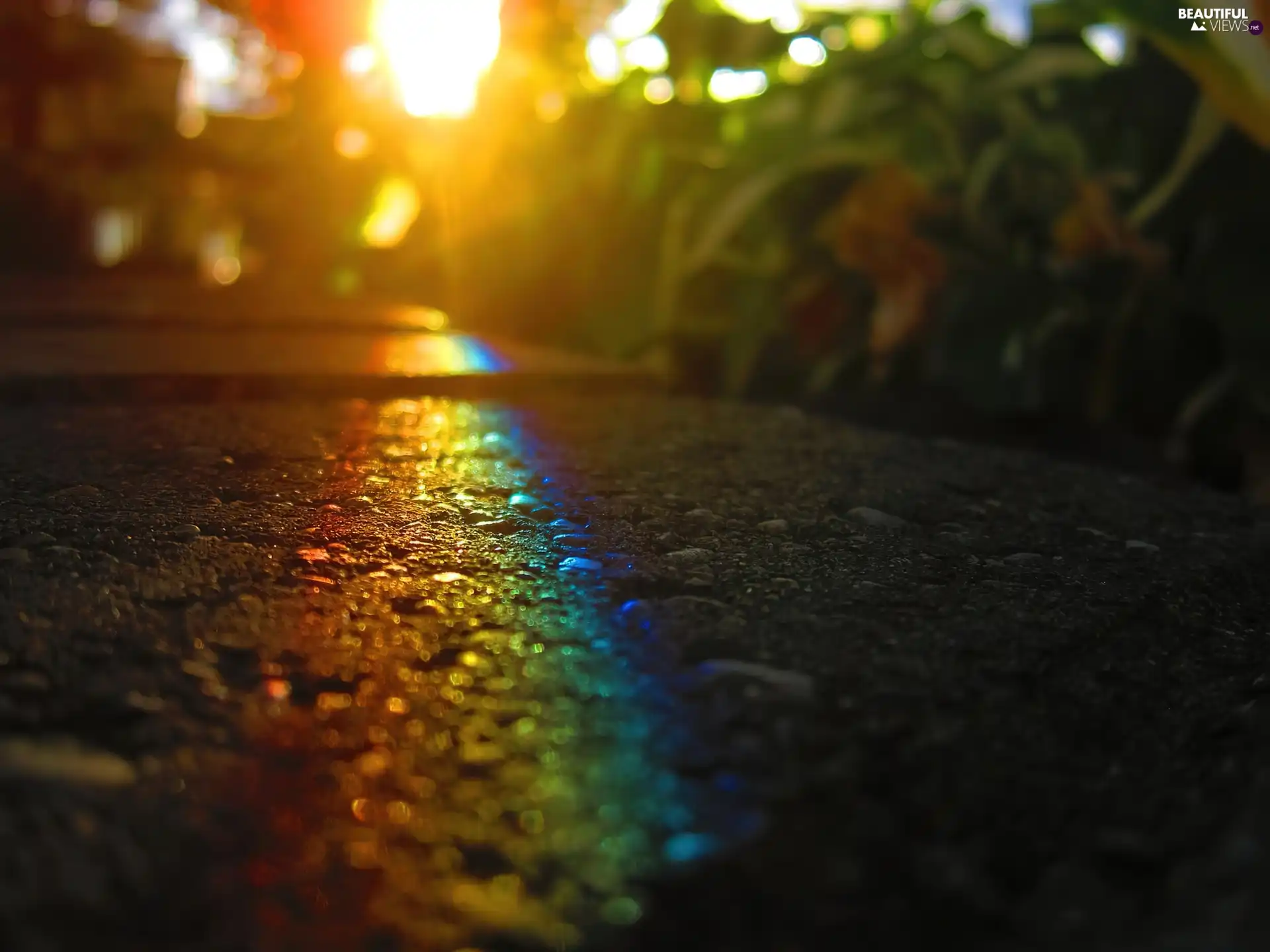 Pavement, west, sun