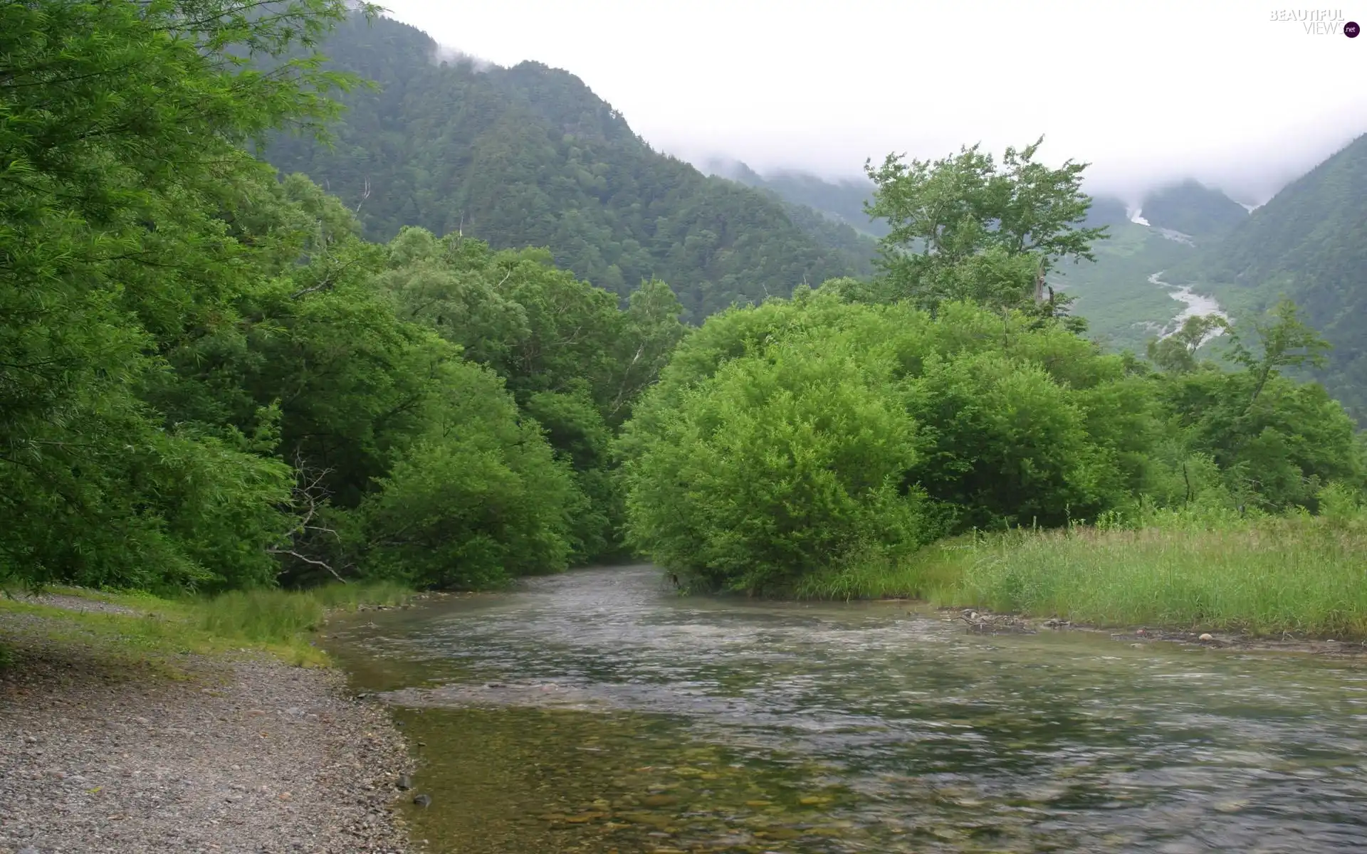 Bush, trees, Mountains, viewes, green ones, peaks, River