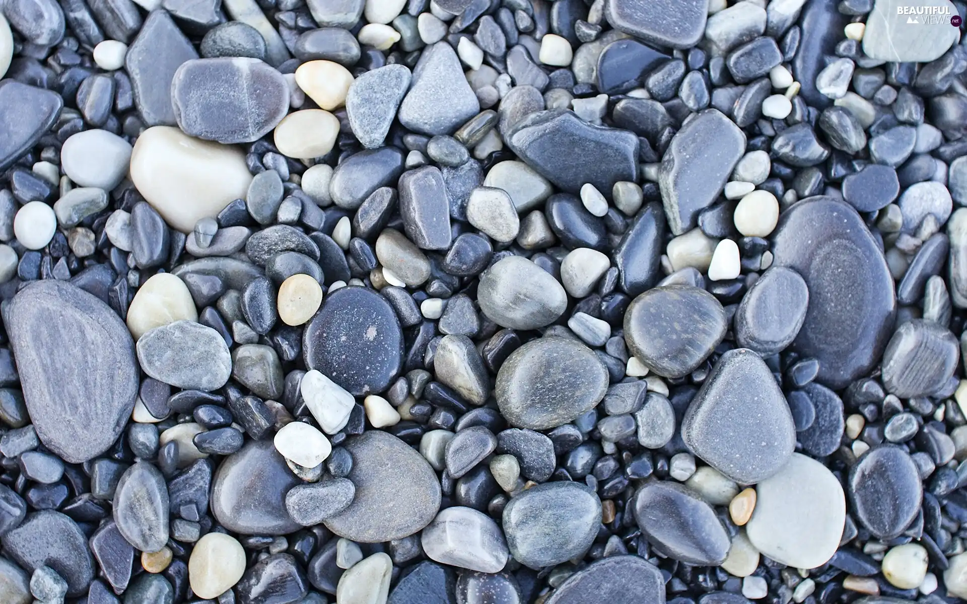 Pebble