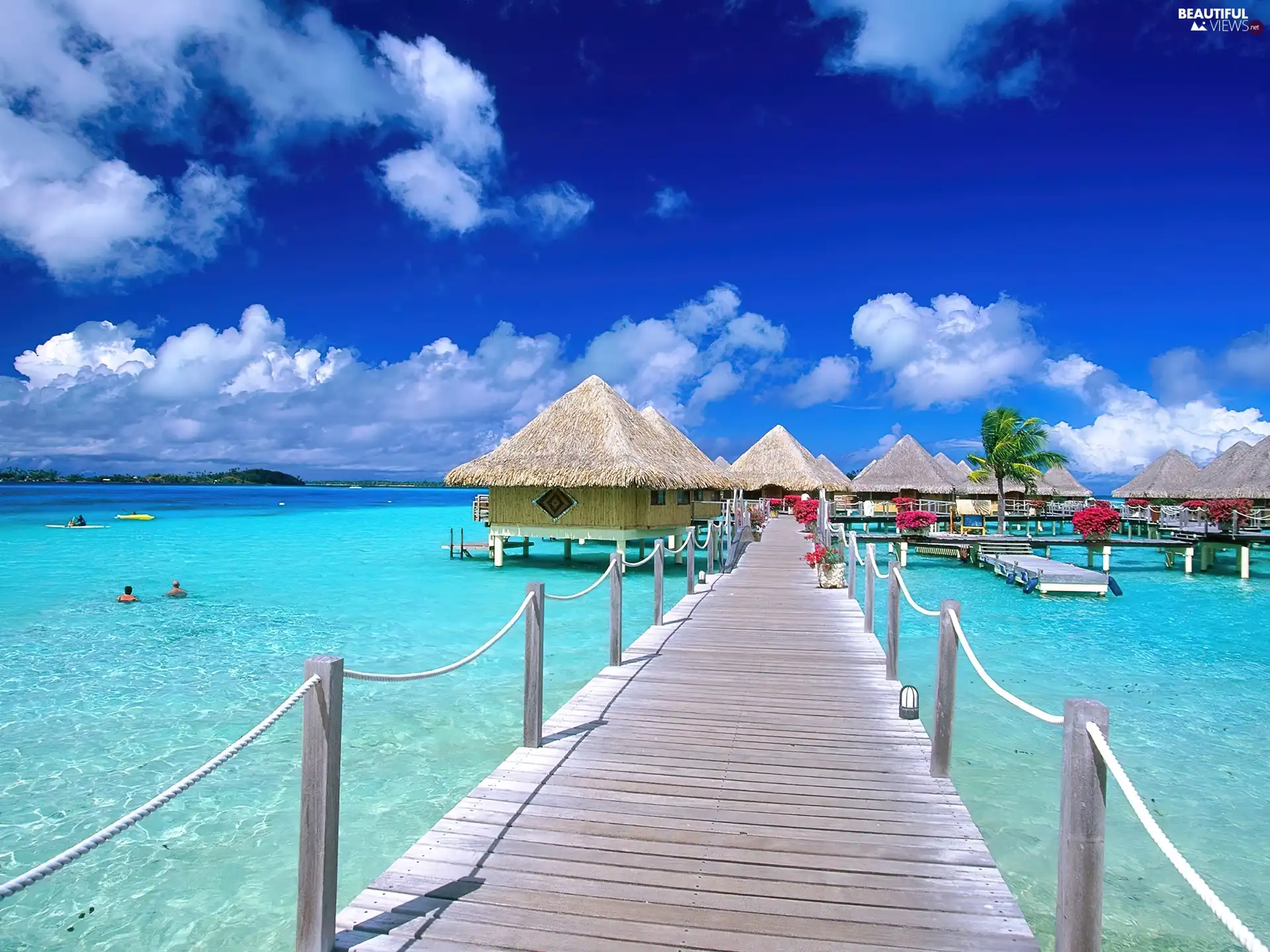 pier, Palm, sea, Houses, Sky