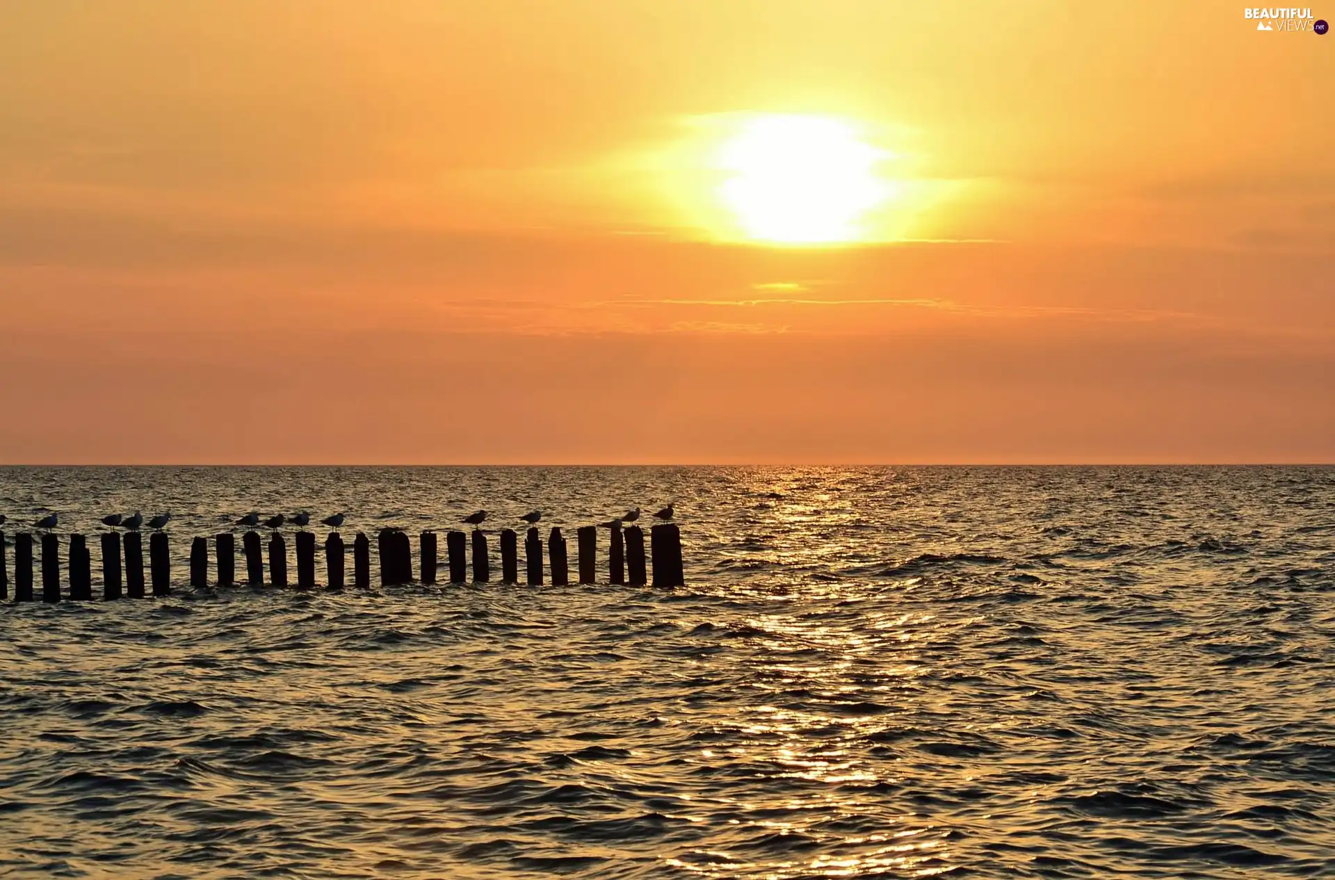 sea, pier