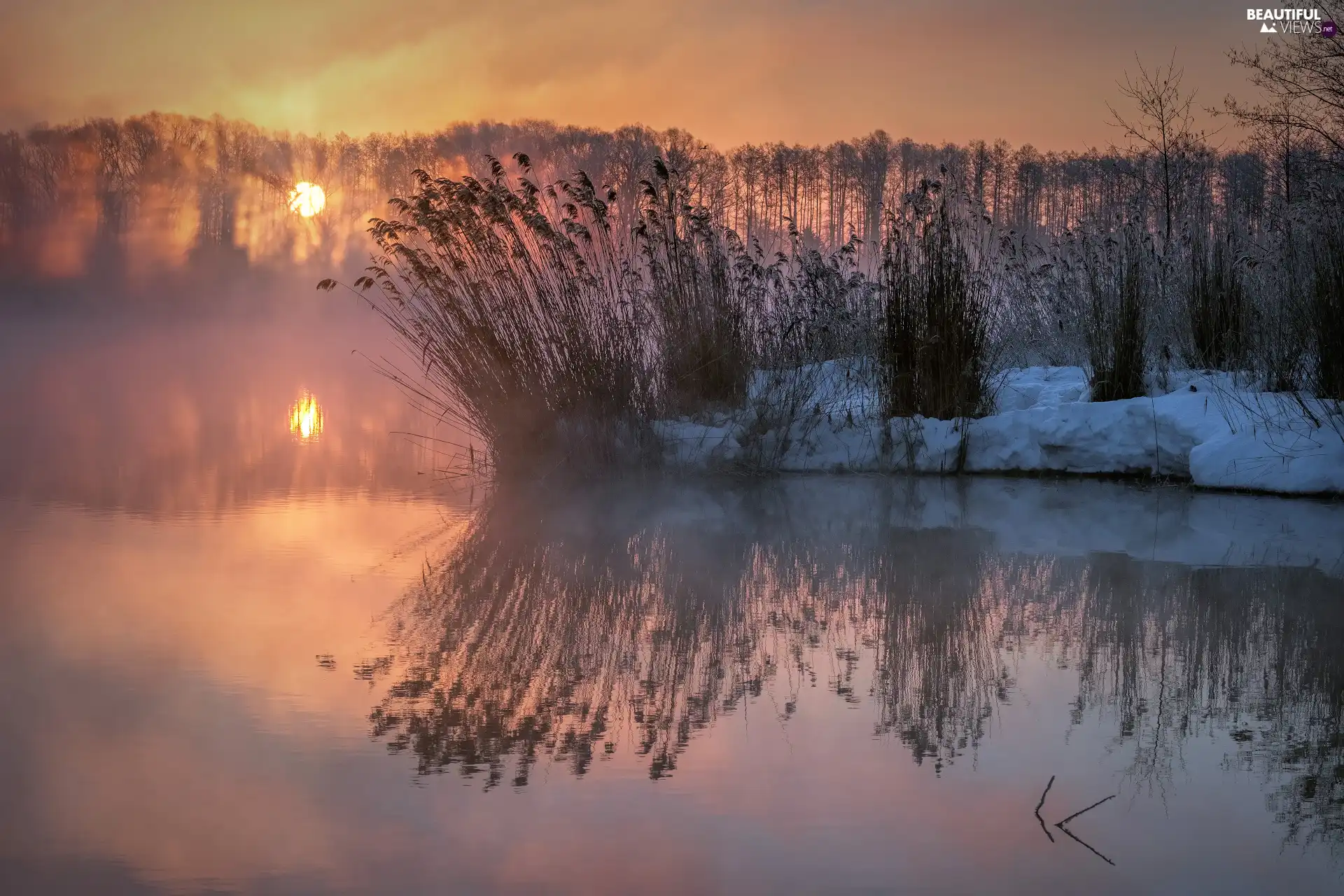 River, Plants, Great Sunsets, grass