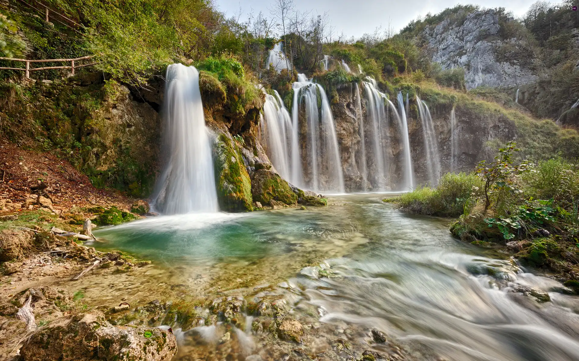 Plants, waterfall, River