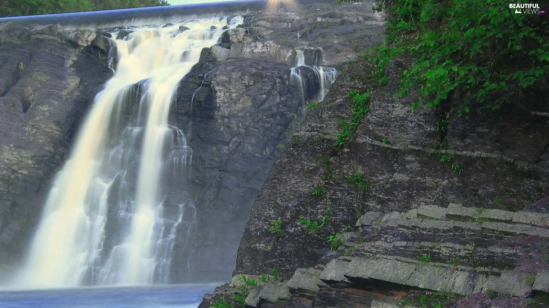 Plants, waterfall, rocks