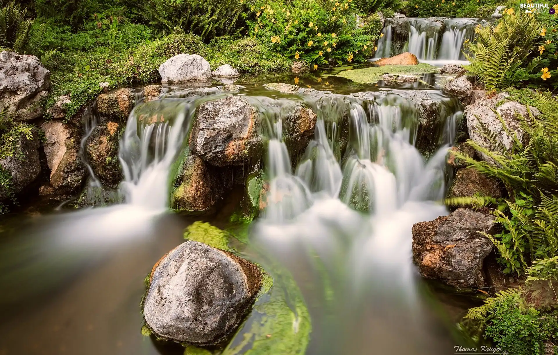 Plants, waterfalls, Stones