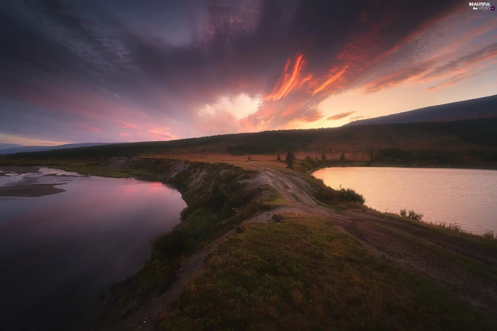 lake, Plants, Sunrise, clouds, morning