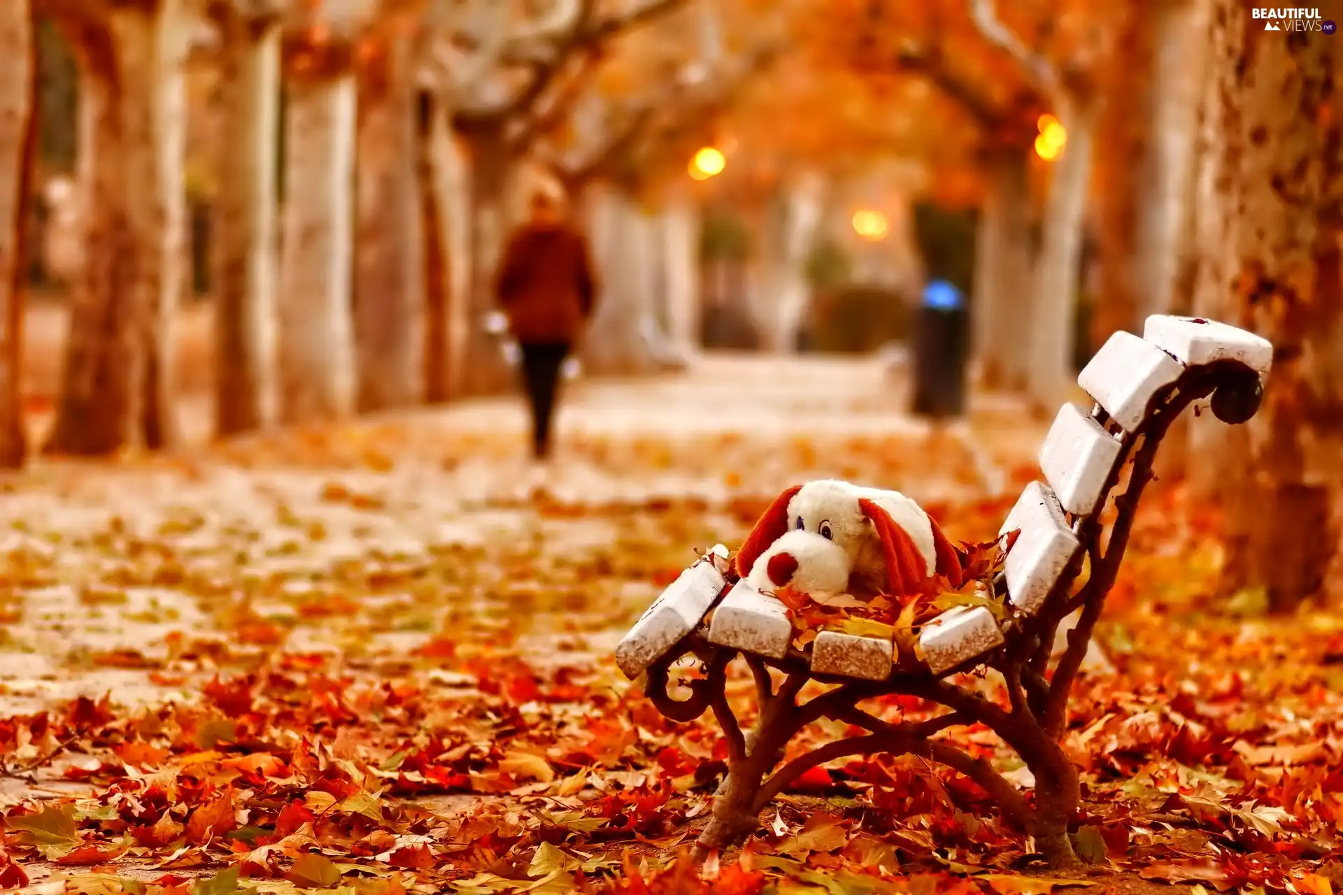 plush toy, form, lane, Bench, Park