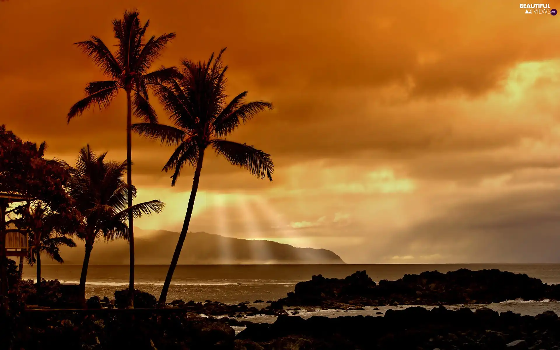 clouds, rays of the Sun, Palms, sea