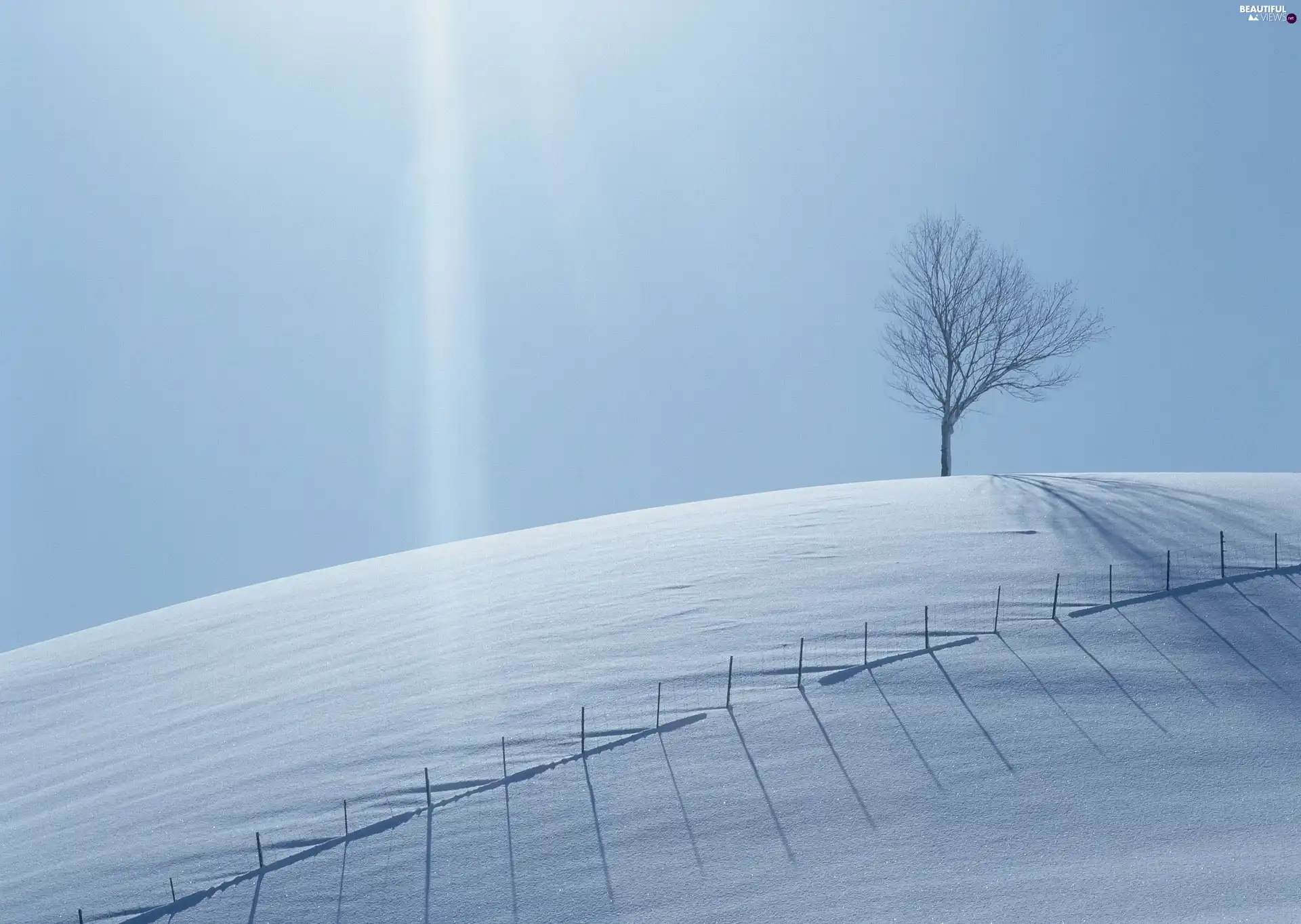 trees, snow, rays, sun, Fance, drifts