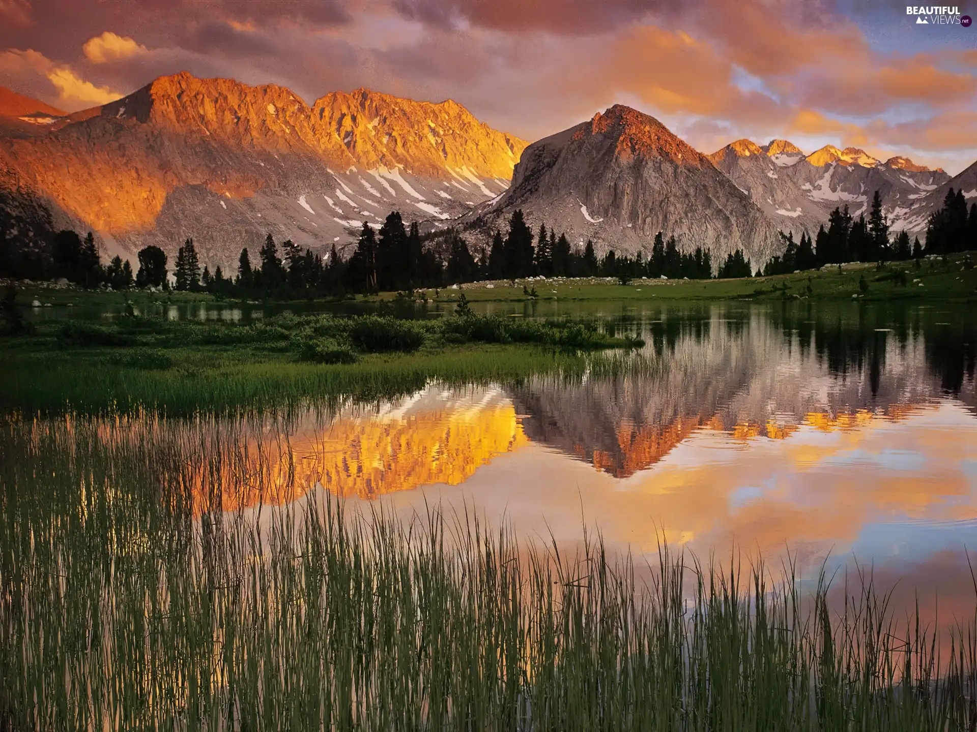 rays, sun, lake, forest, Mountains