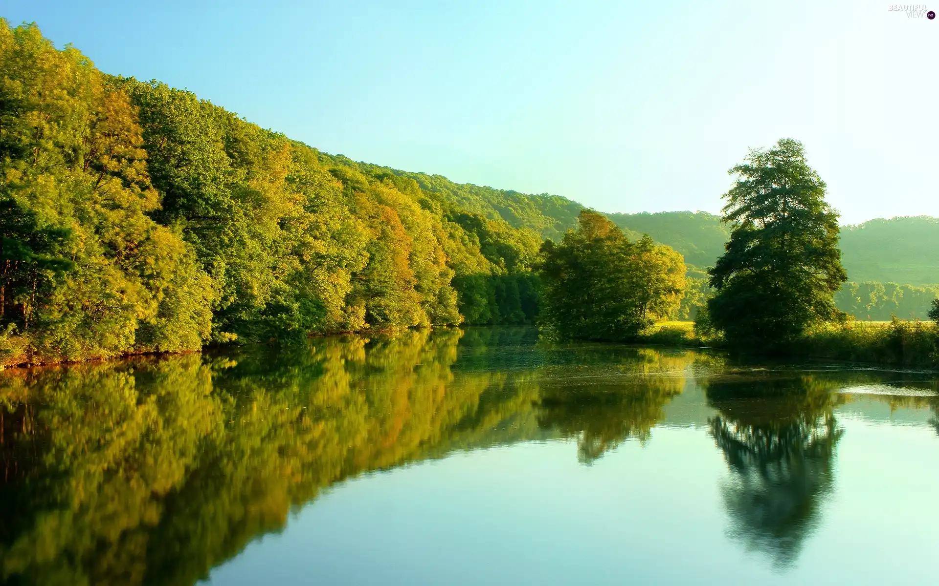 reflection, forest, lake