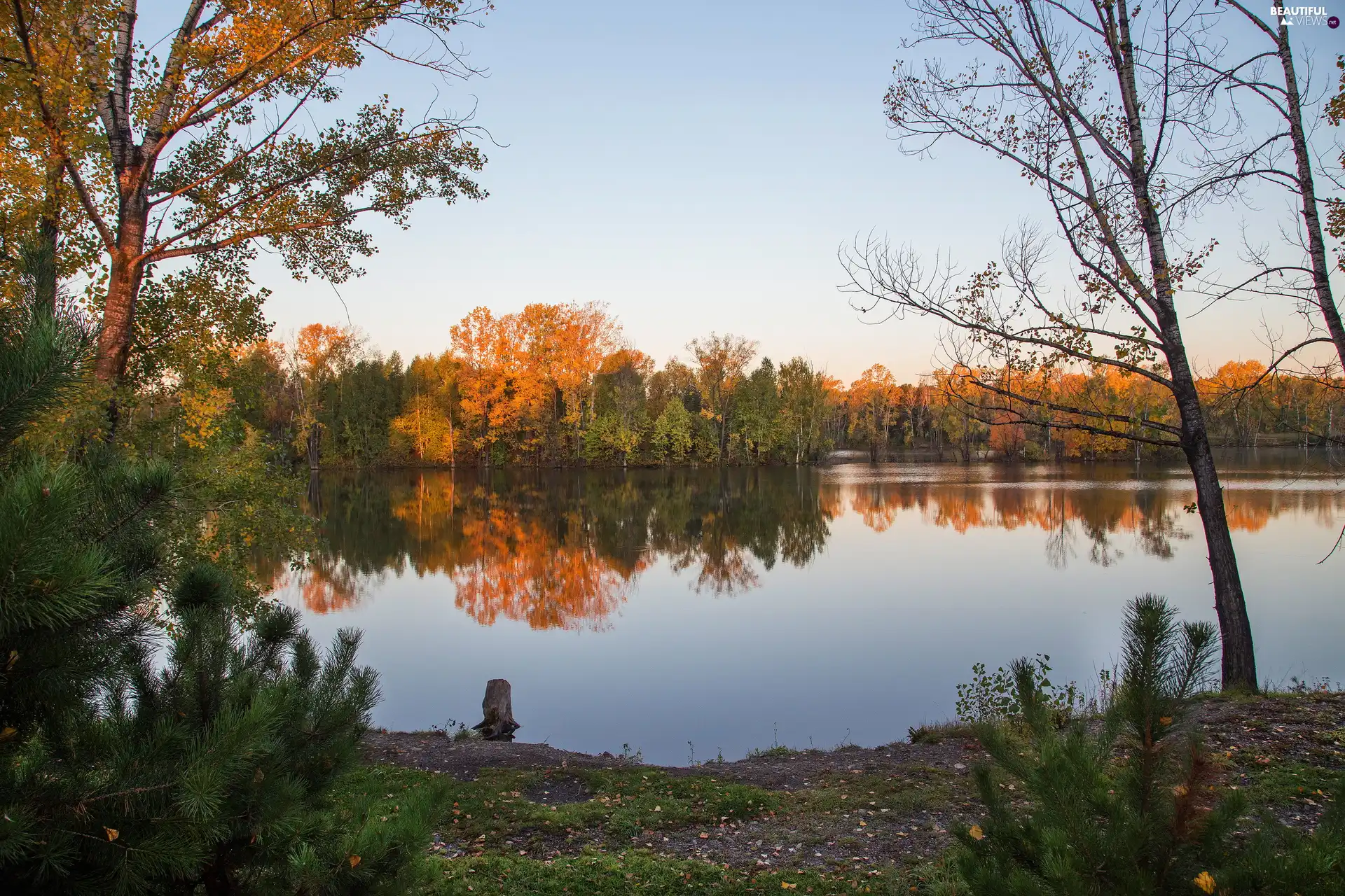 Yellowed, autumn, viewes, reflection, trees, lake