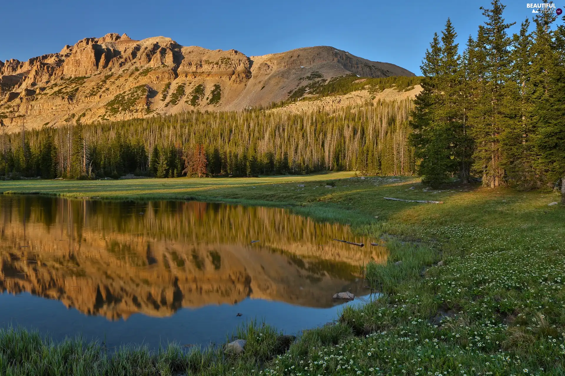 Mountains, woods, reflection, lake