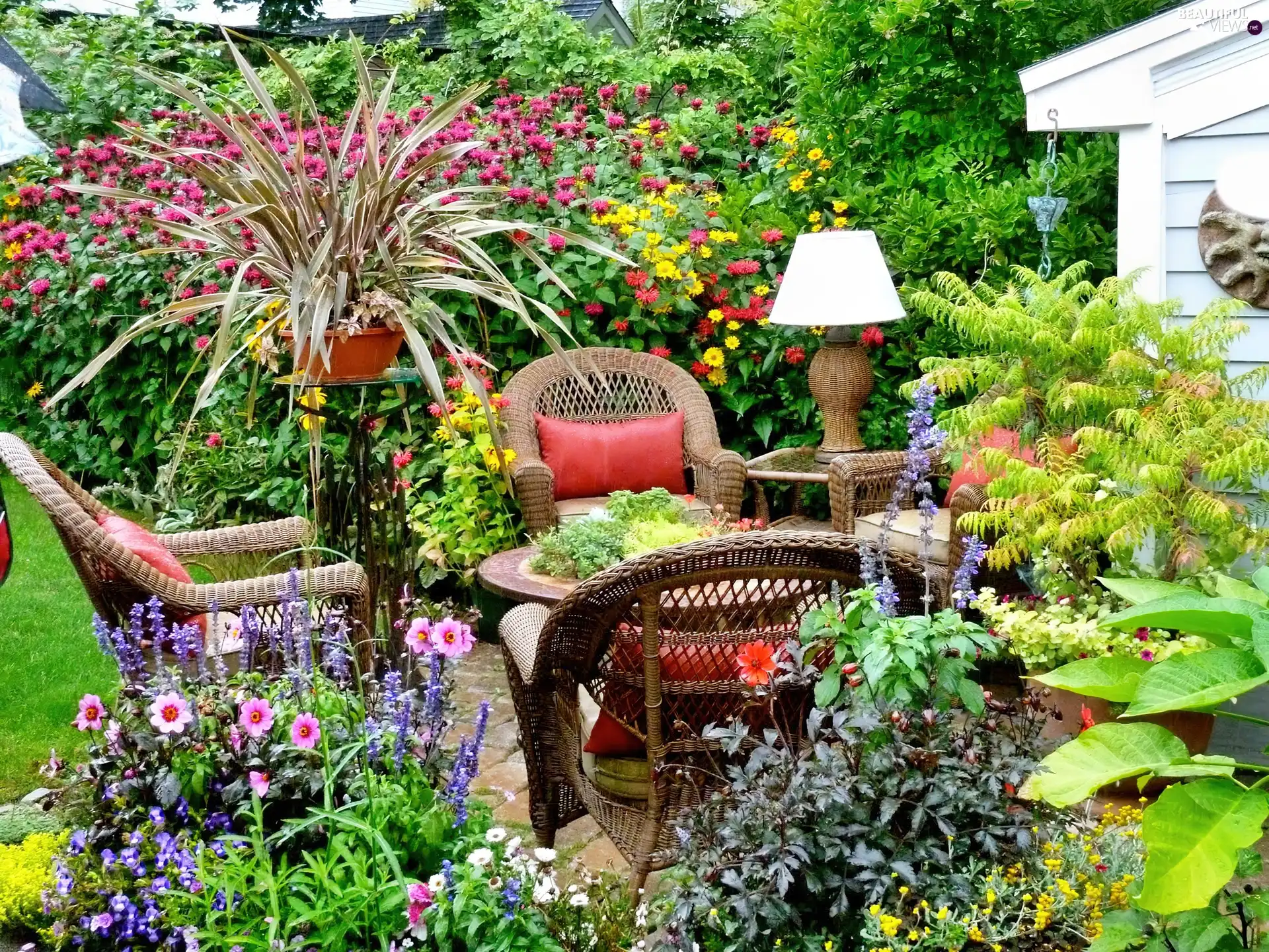 Garden, furniture, relaxation, Flowers