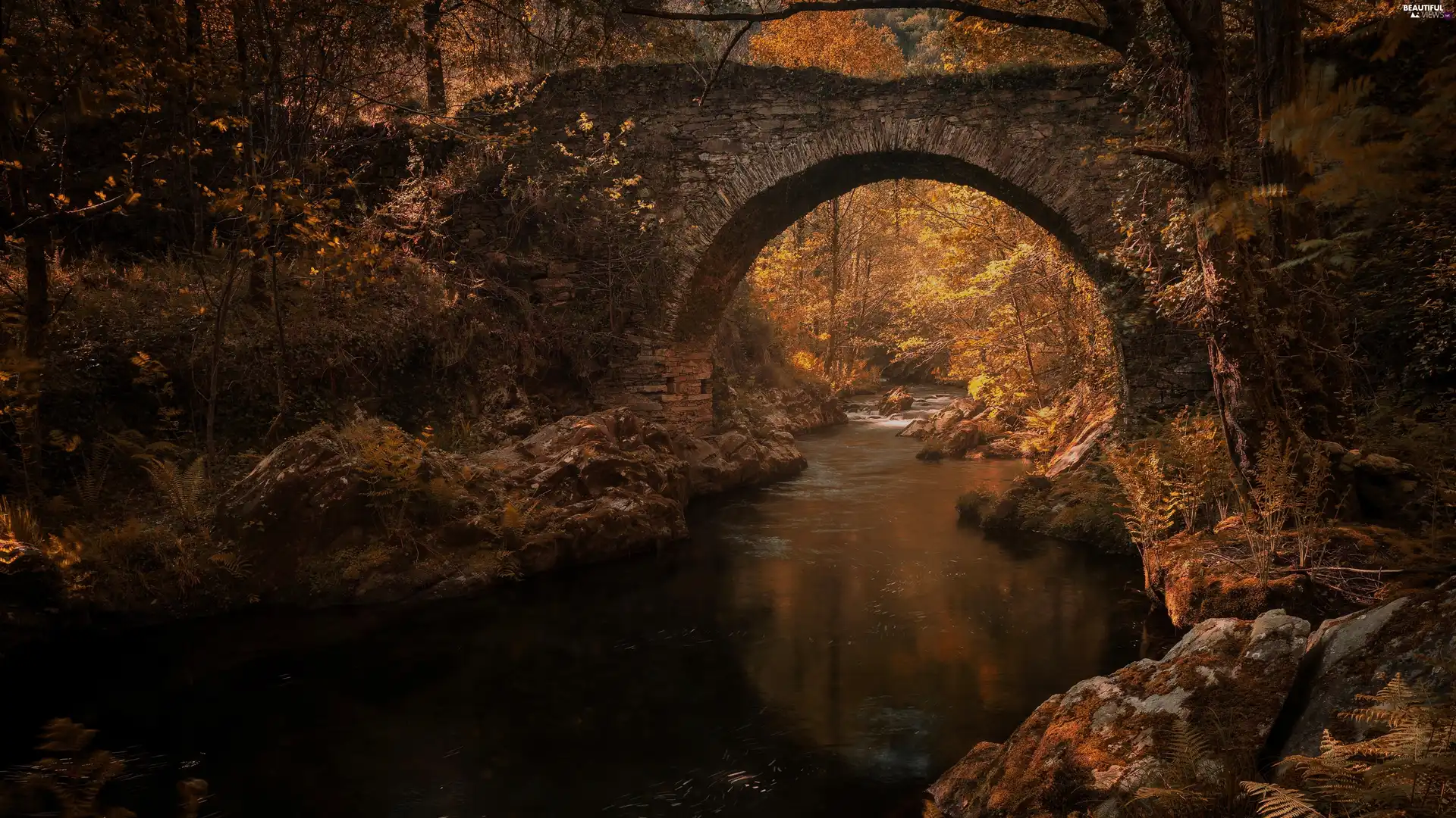 stone, River, autumn, Arch Bridge