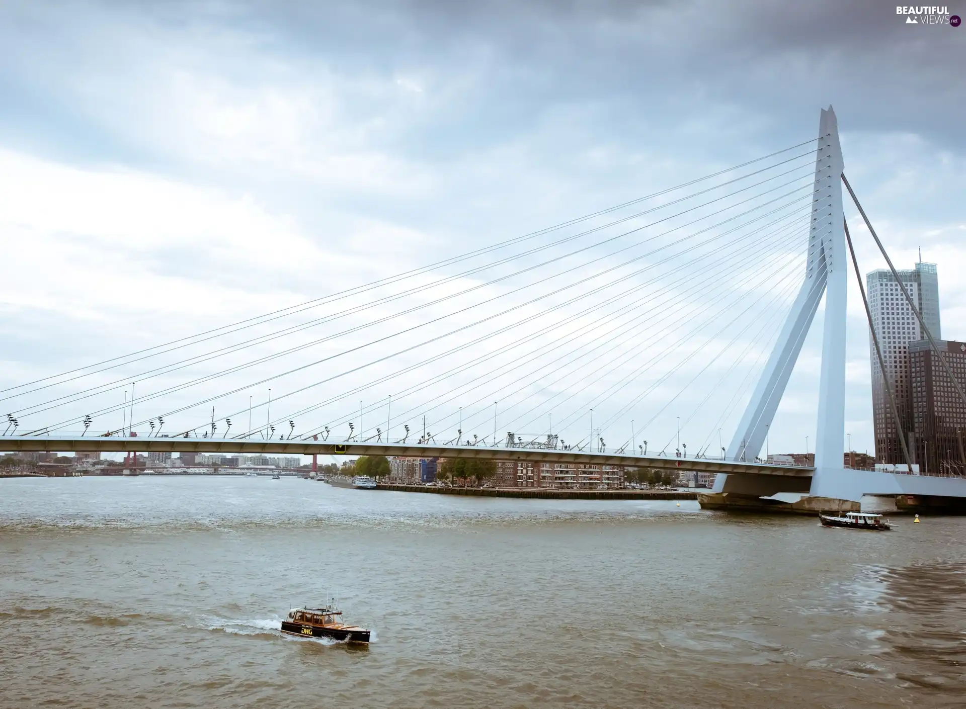 Erasmus Bridge, Netherlands, River, rotterdam