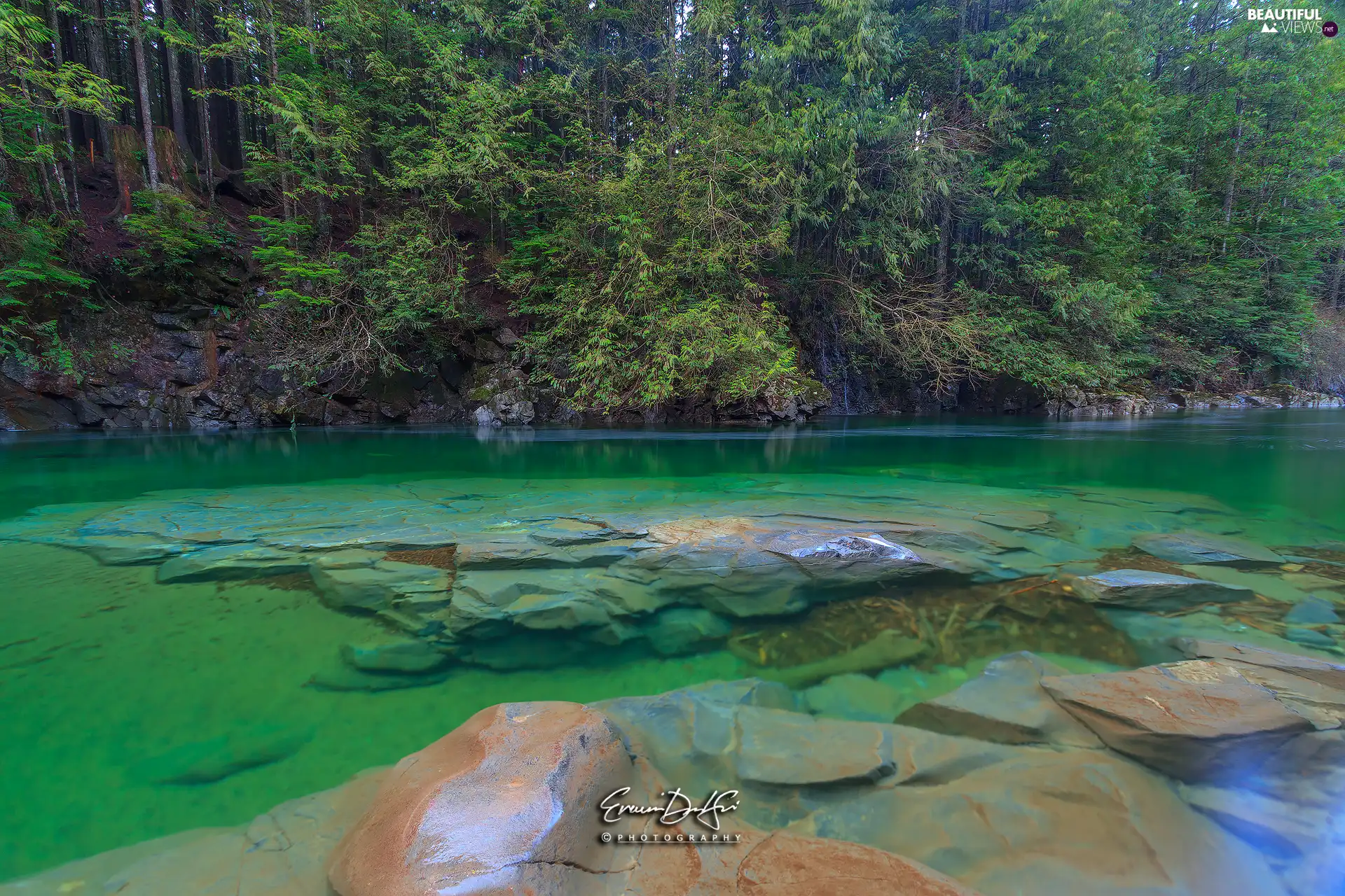 forest, rocks, Stones, River