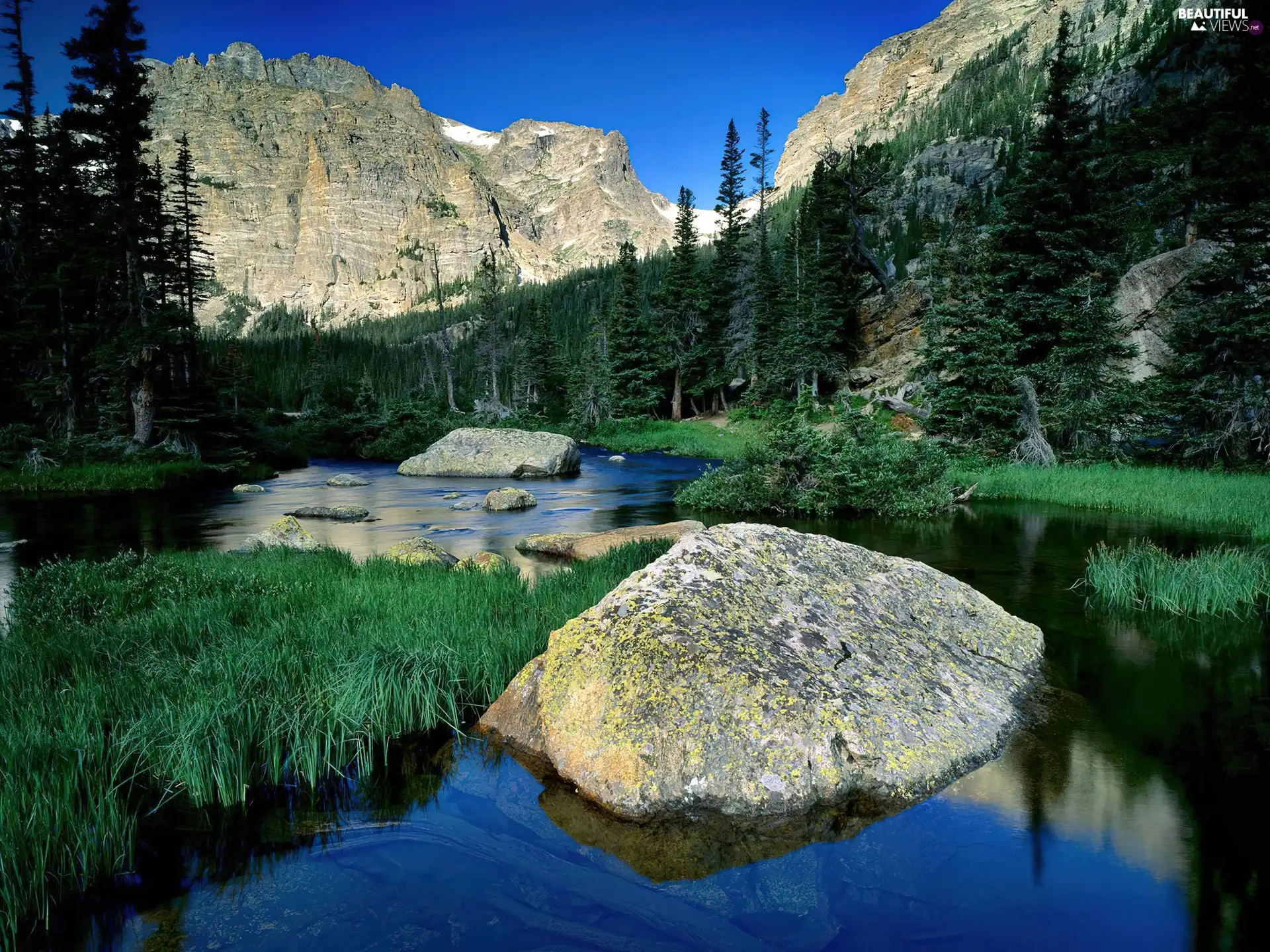 Mountains, forest, River, Stones