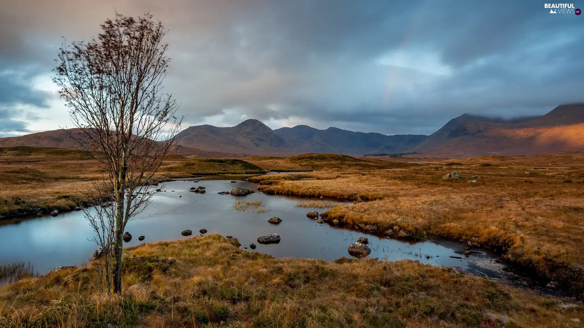 trees, birch-tree, River, grass, Mountains