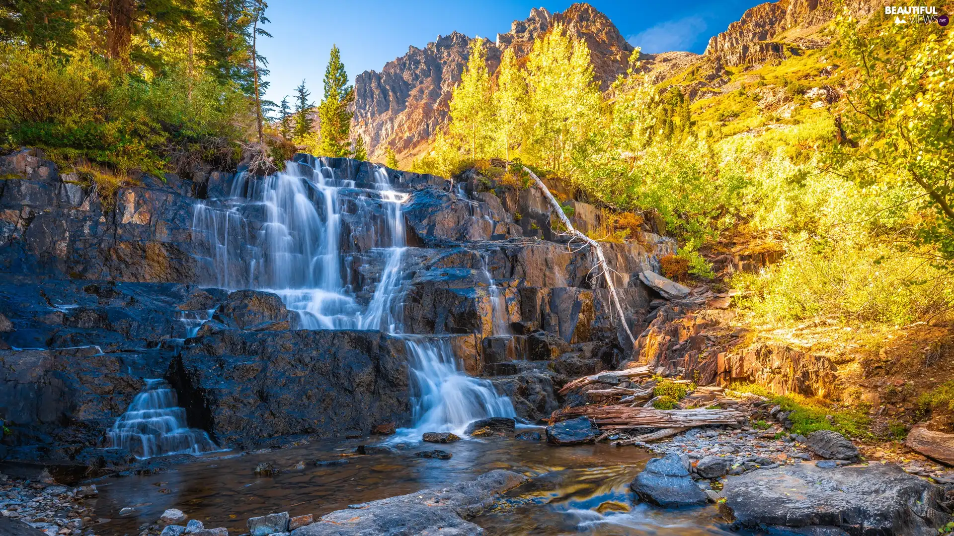 River, waterfall, Rocks, Stones, Bush, autumn, trees, viewes, Mountains