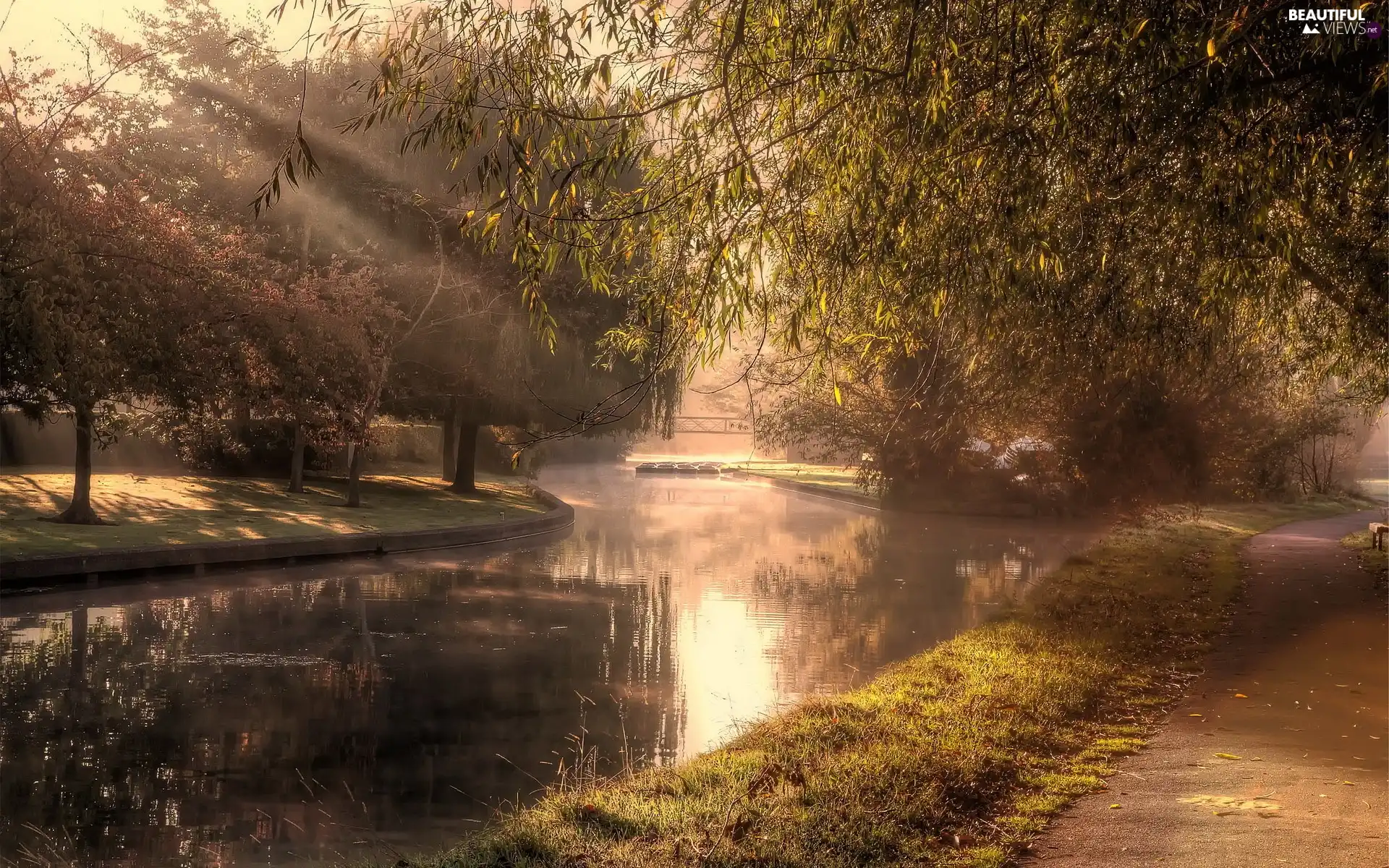 trees, lane, River, viewes