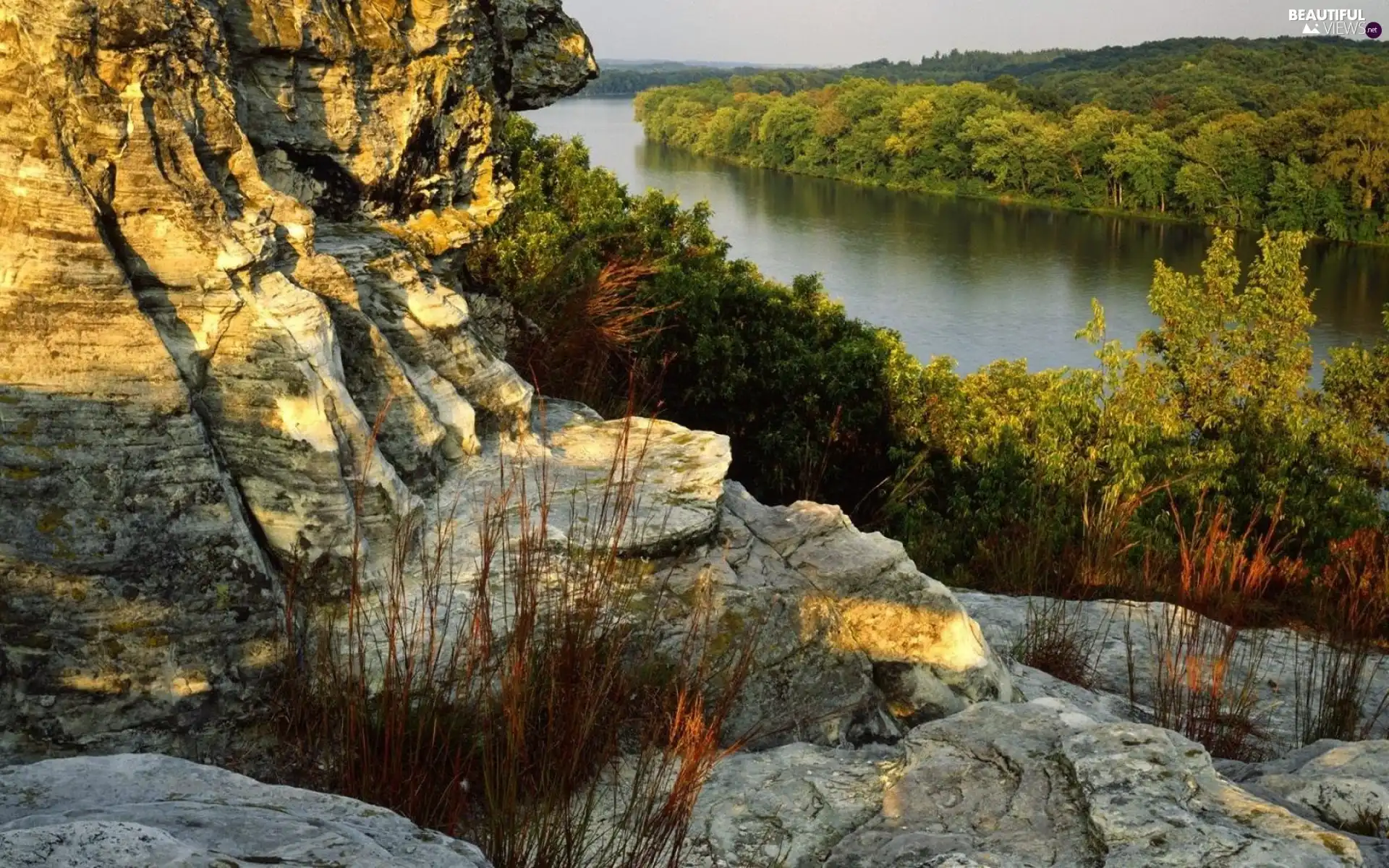 rocks, River, forest