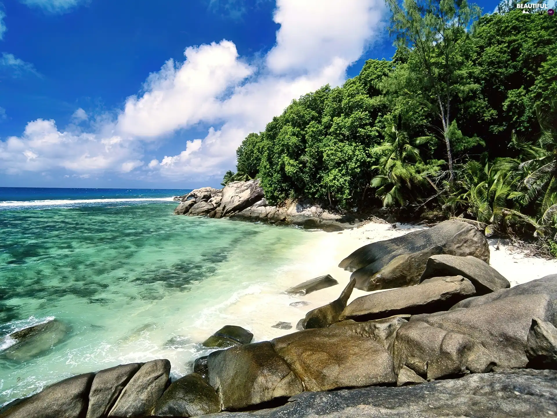 sea, forest, rocks, Waves