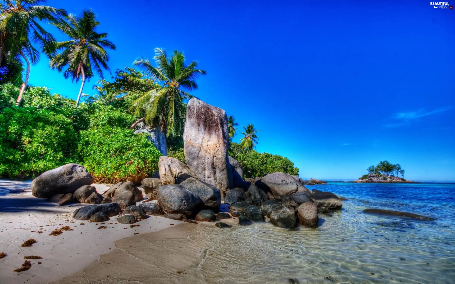 sea, Palms, rocks, Beaches