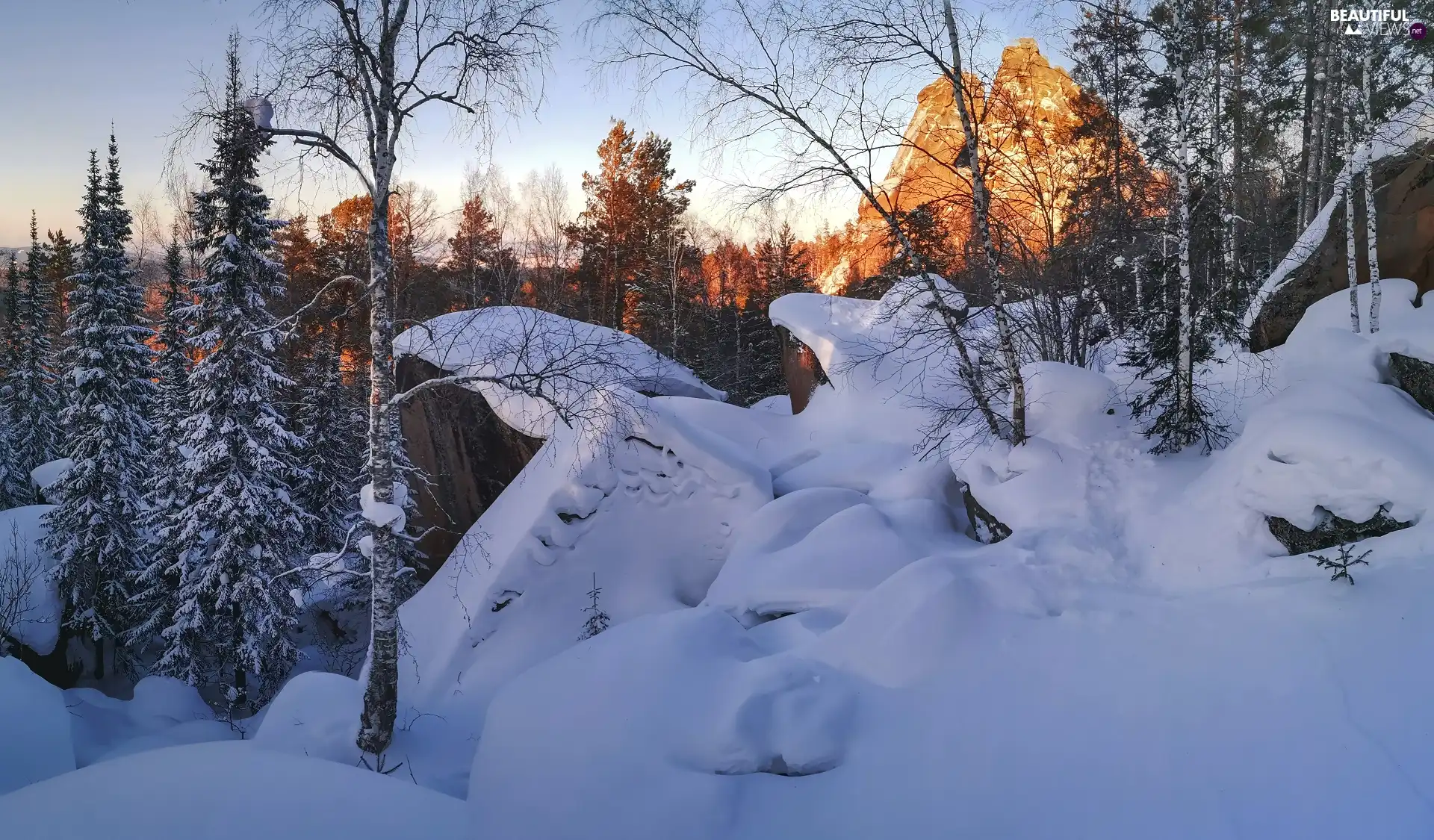 trees, winter, Mountains, rocks, viewes, snow