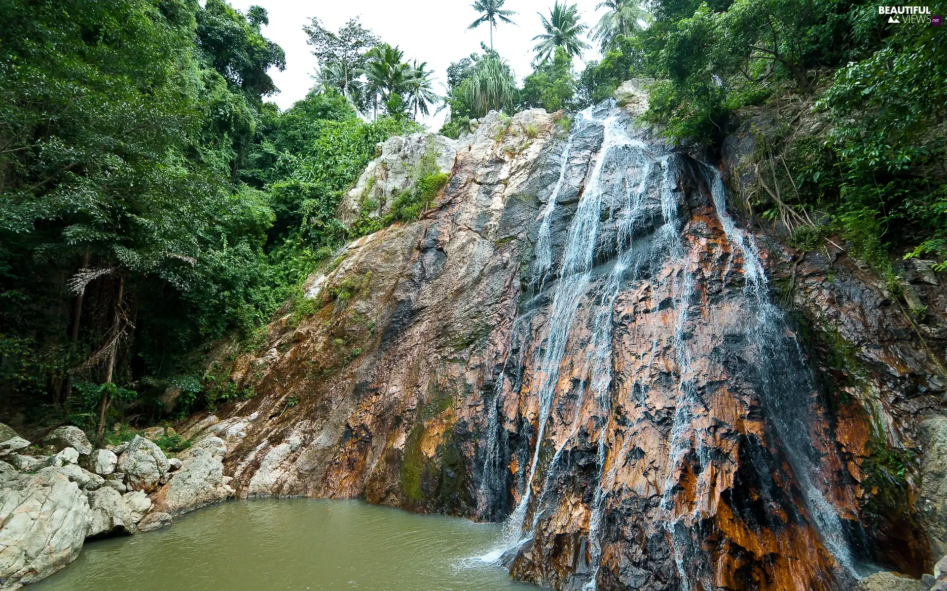 trees, waterfall, rocks, viewes