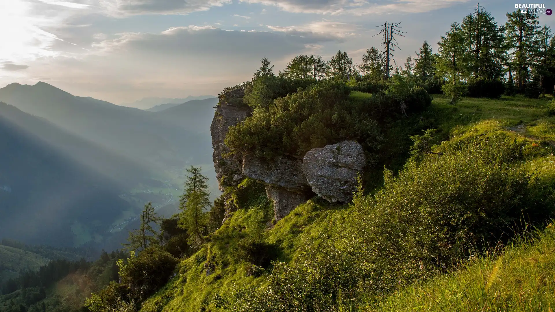 Mountains, trees, Fog, rocks, Valley, viewes