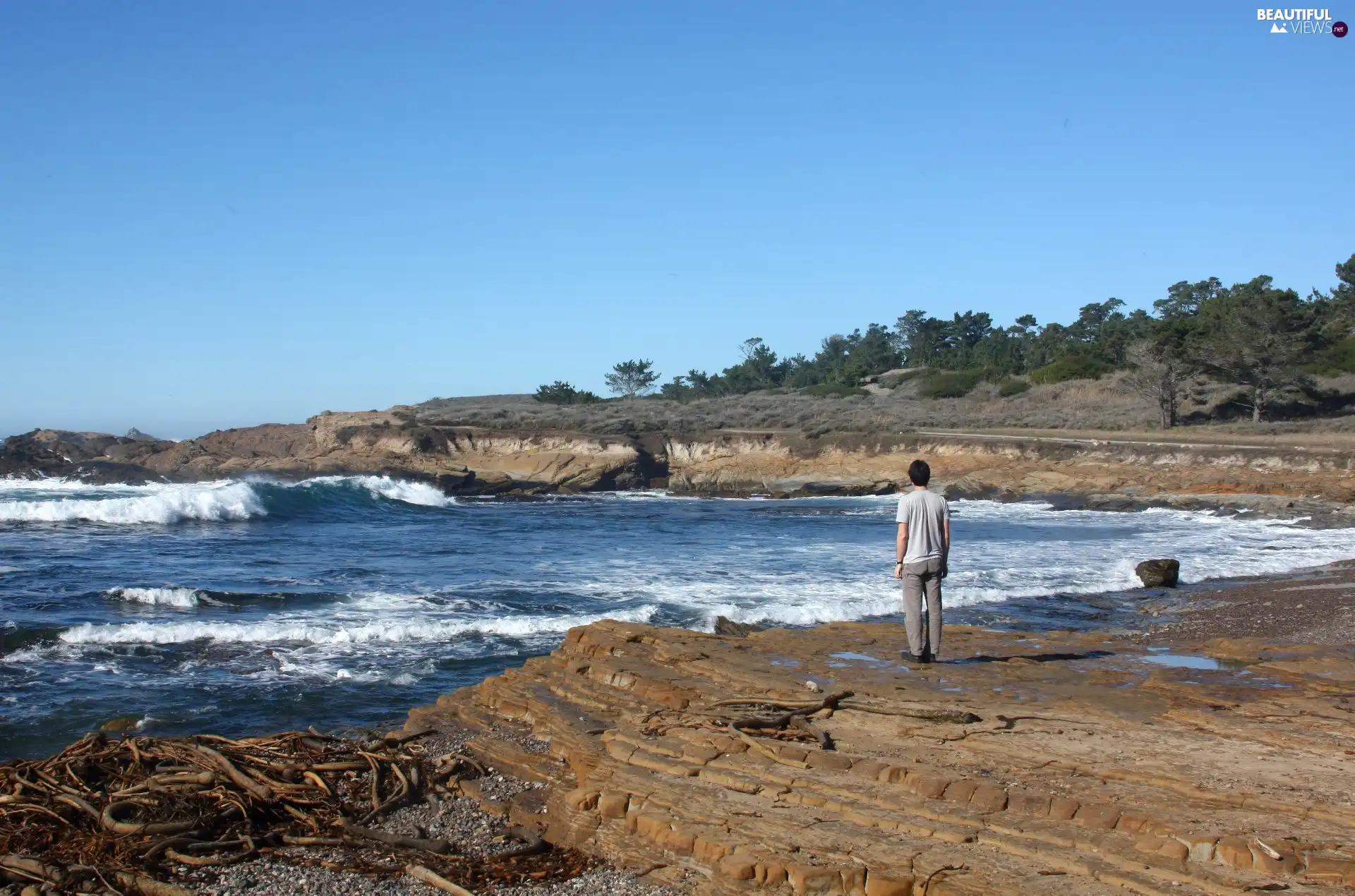 Weston, a man, rocks, water