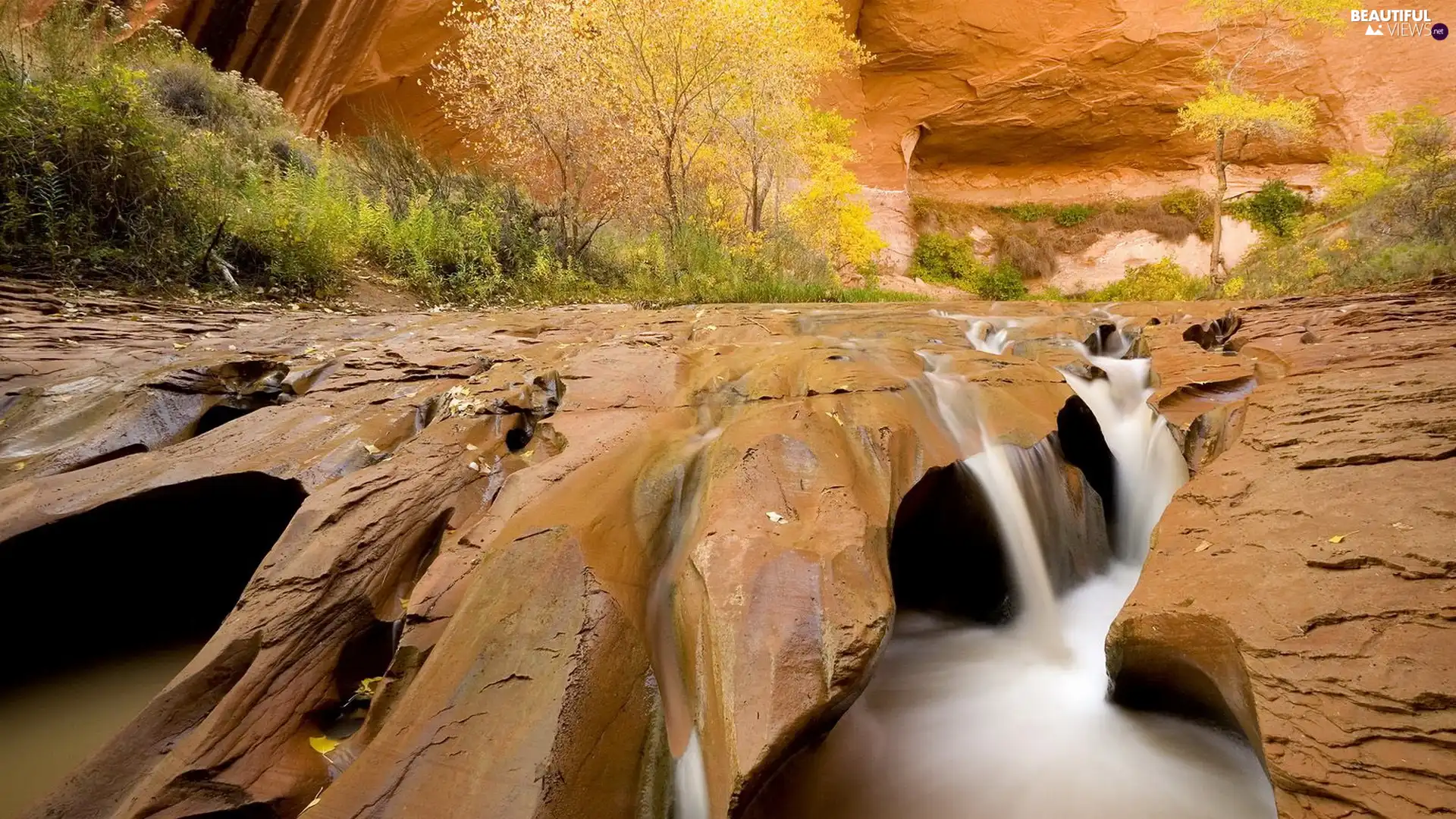 runoff, water, viewes, rocks, trees