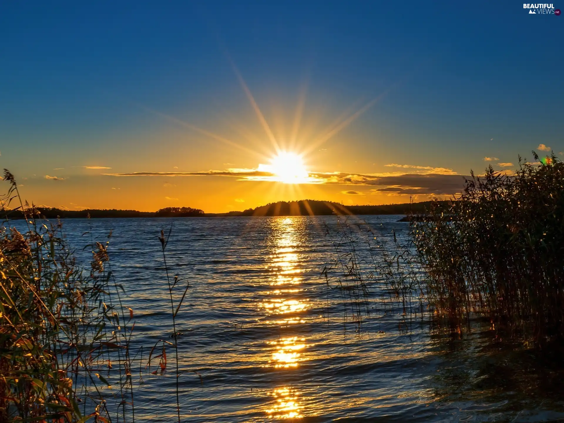 west, lake, rushes, sun