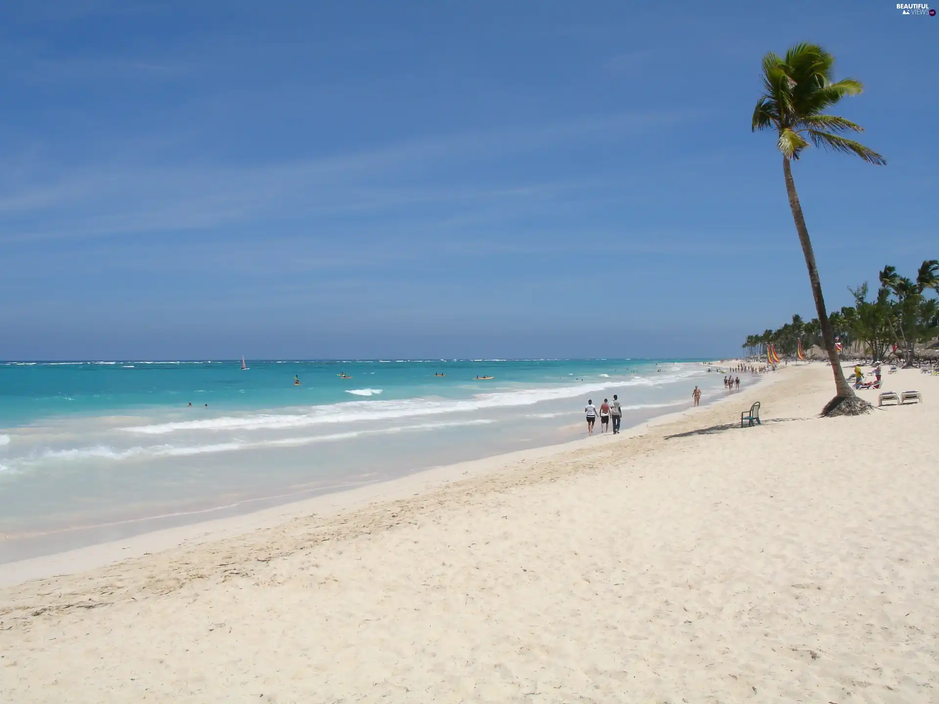 water, Palm, Dominican Republic, Sand, Punta Cana