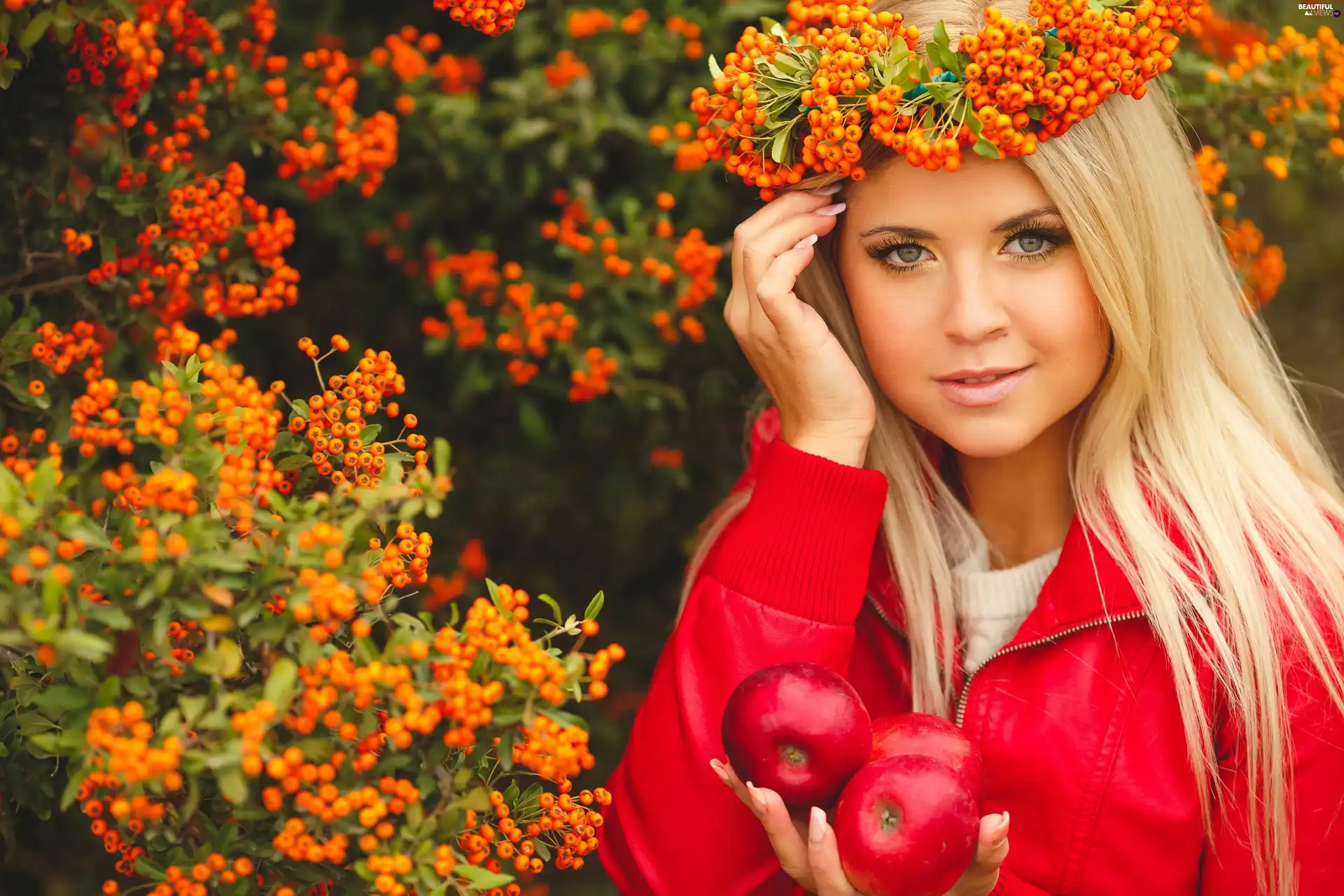 women, viewes, Scarlet firethorn, trees