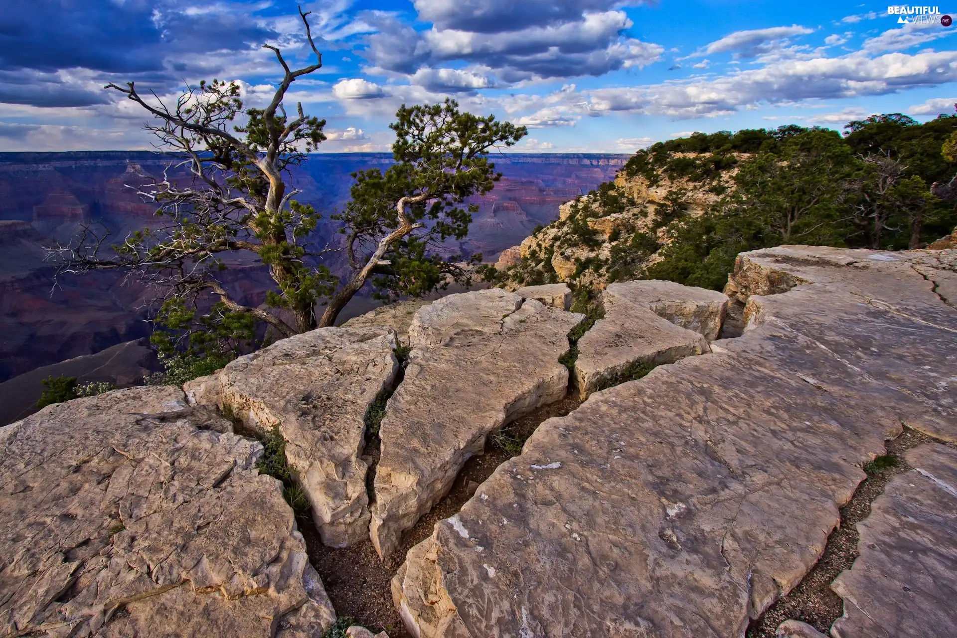 rocks, trees, scarp, panorama