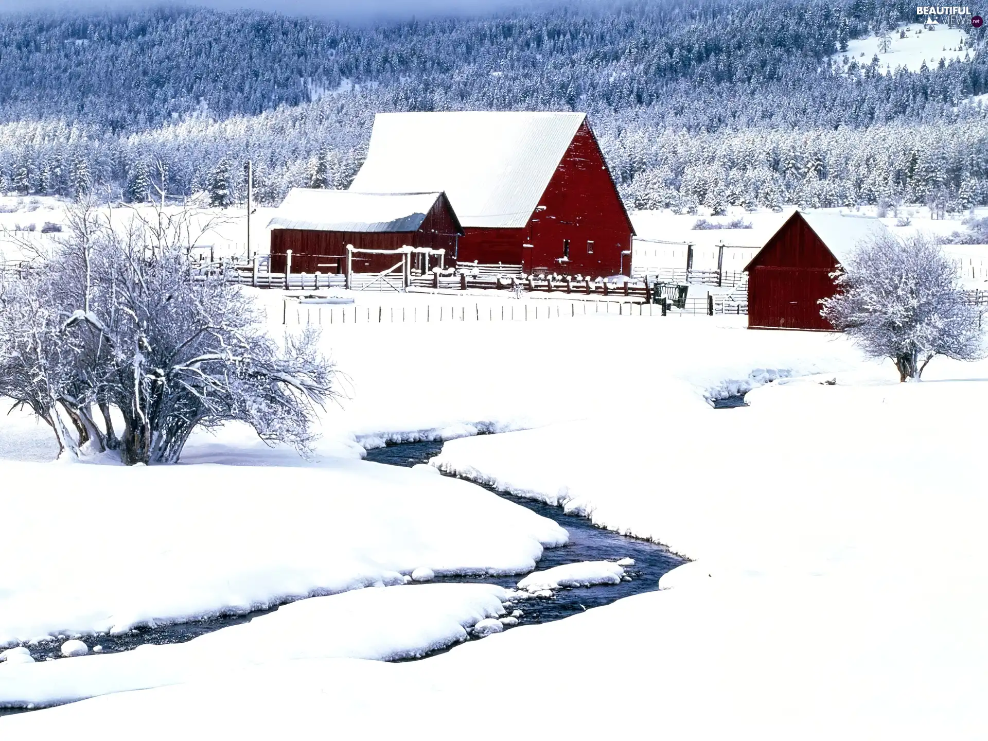 Winter, scenery