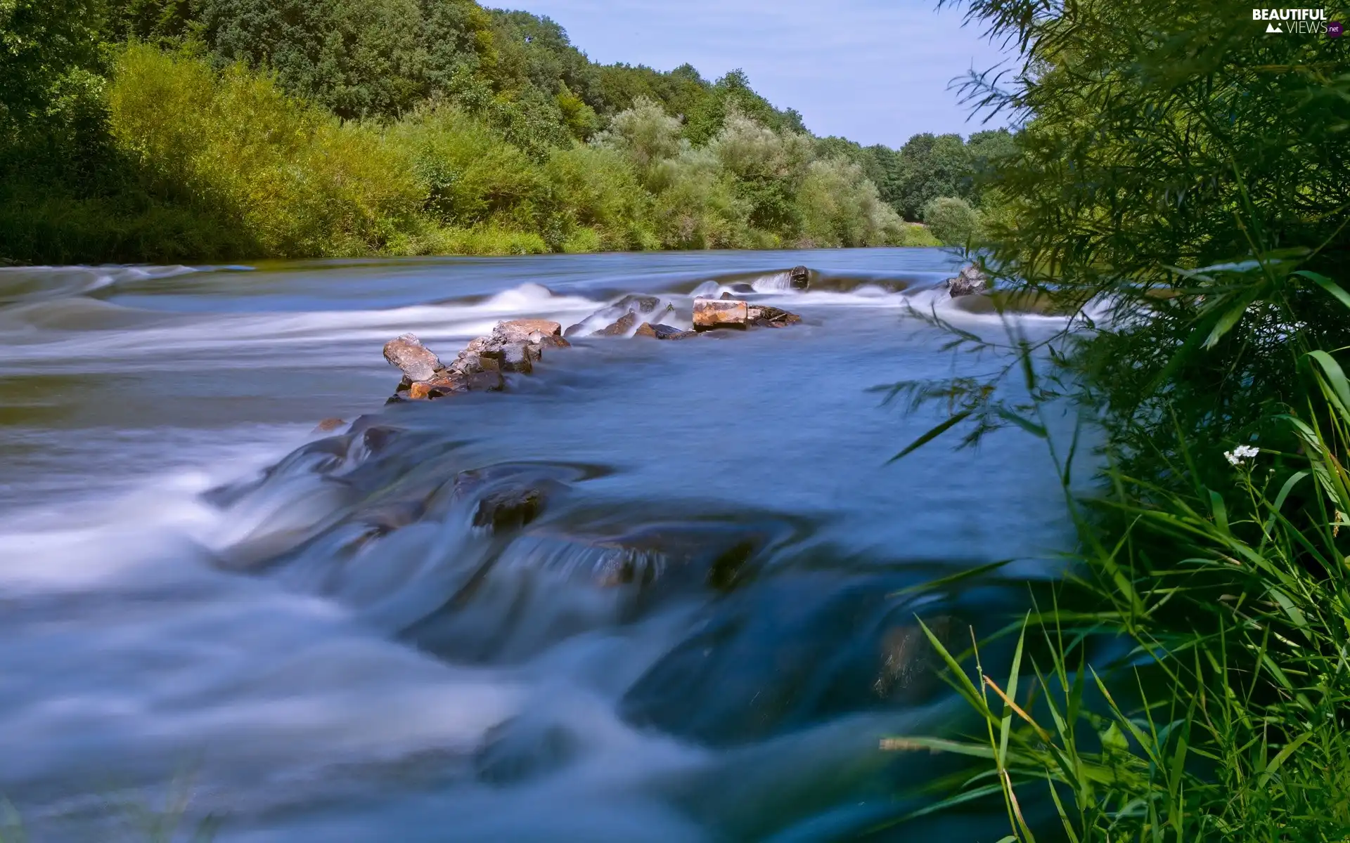 River, forest, scrub, waterfall