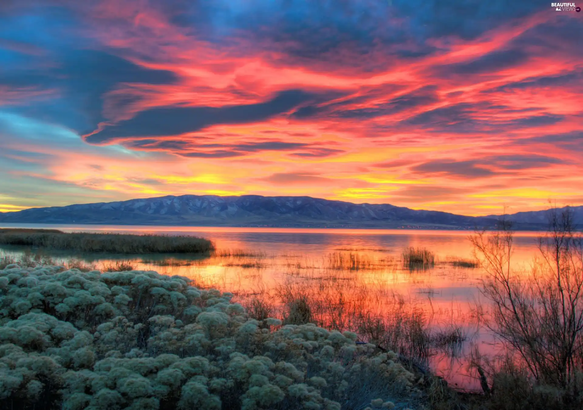 Great Sunsets, lake, scrub