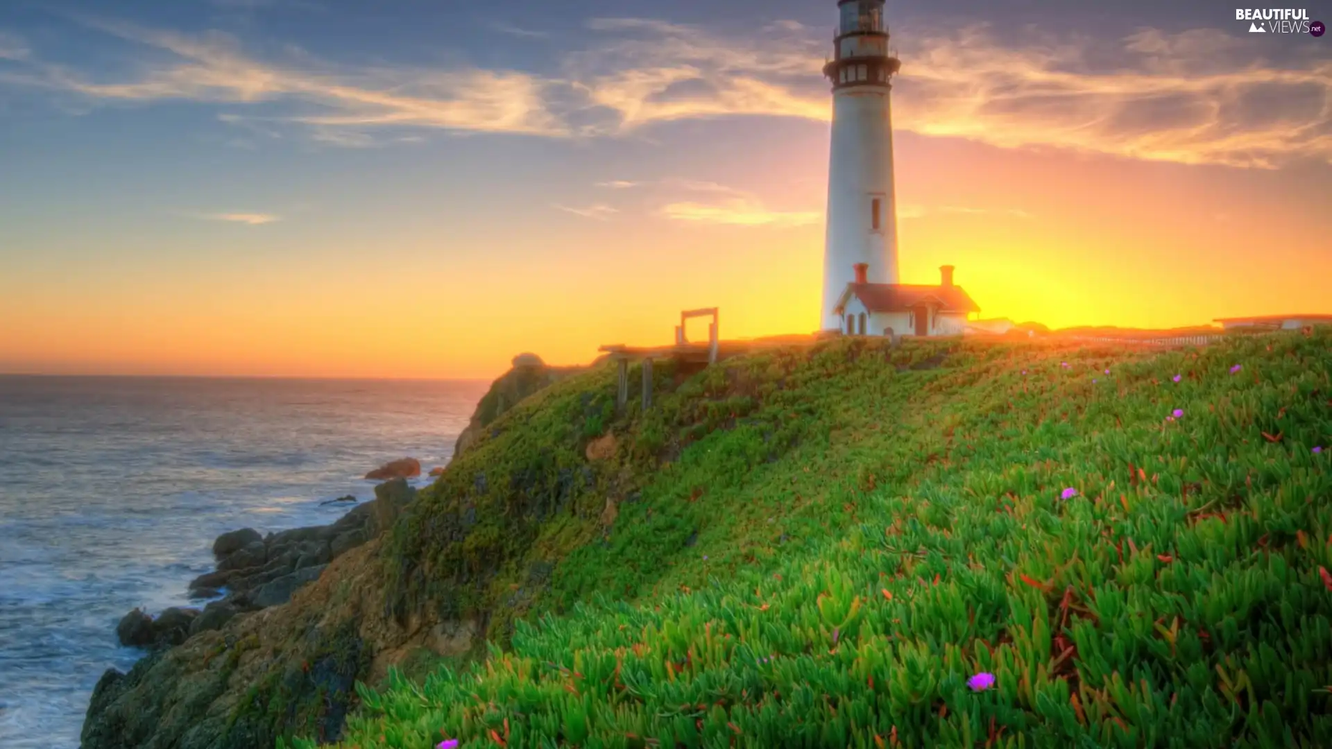 Lighthouse, Meadow, sea, maritime