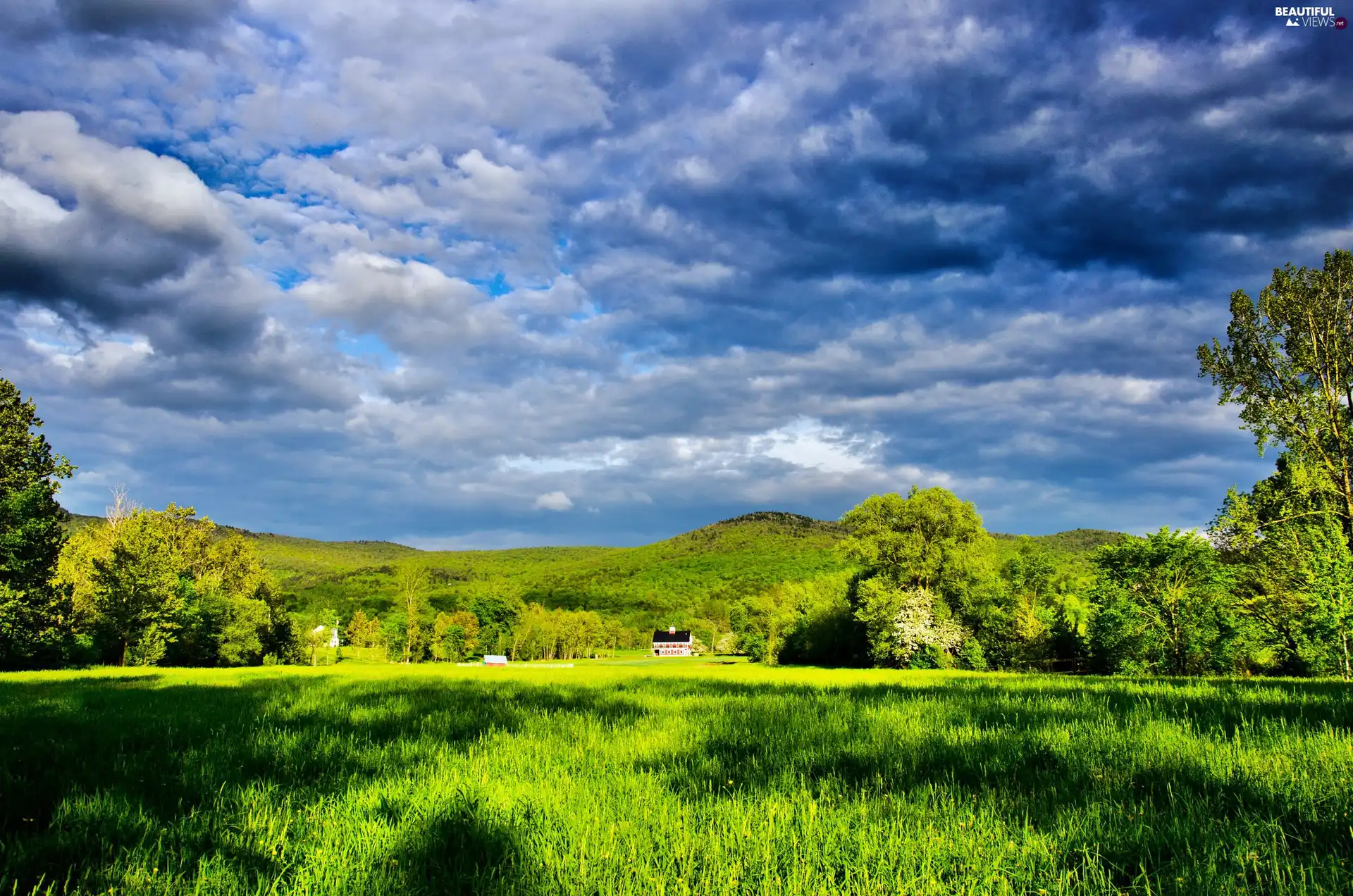 Meadow, clouds, shadows, trees, house, Mountains